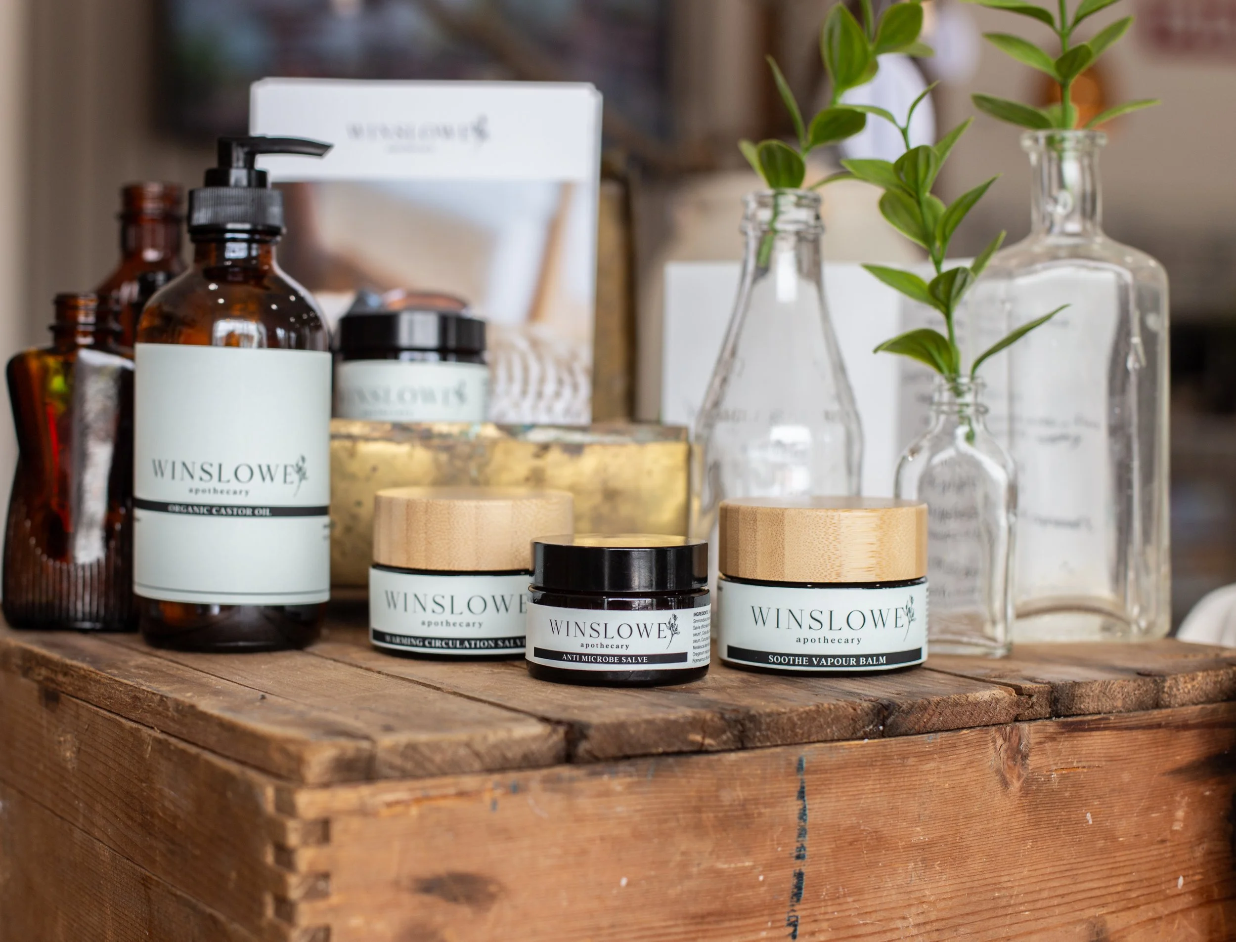 Assorted skincare and herbal products on a rustic wooden surface, including creams, oils, and balms in jars and bottles, with glass vases containing green leafy branches in the background.