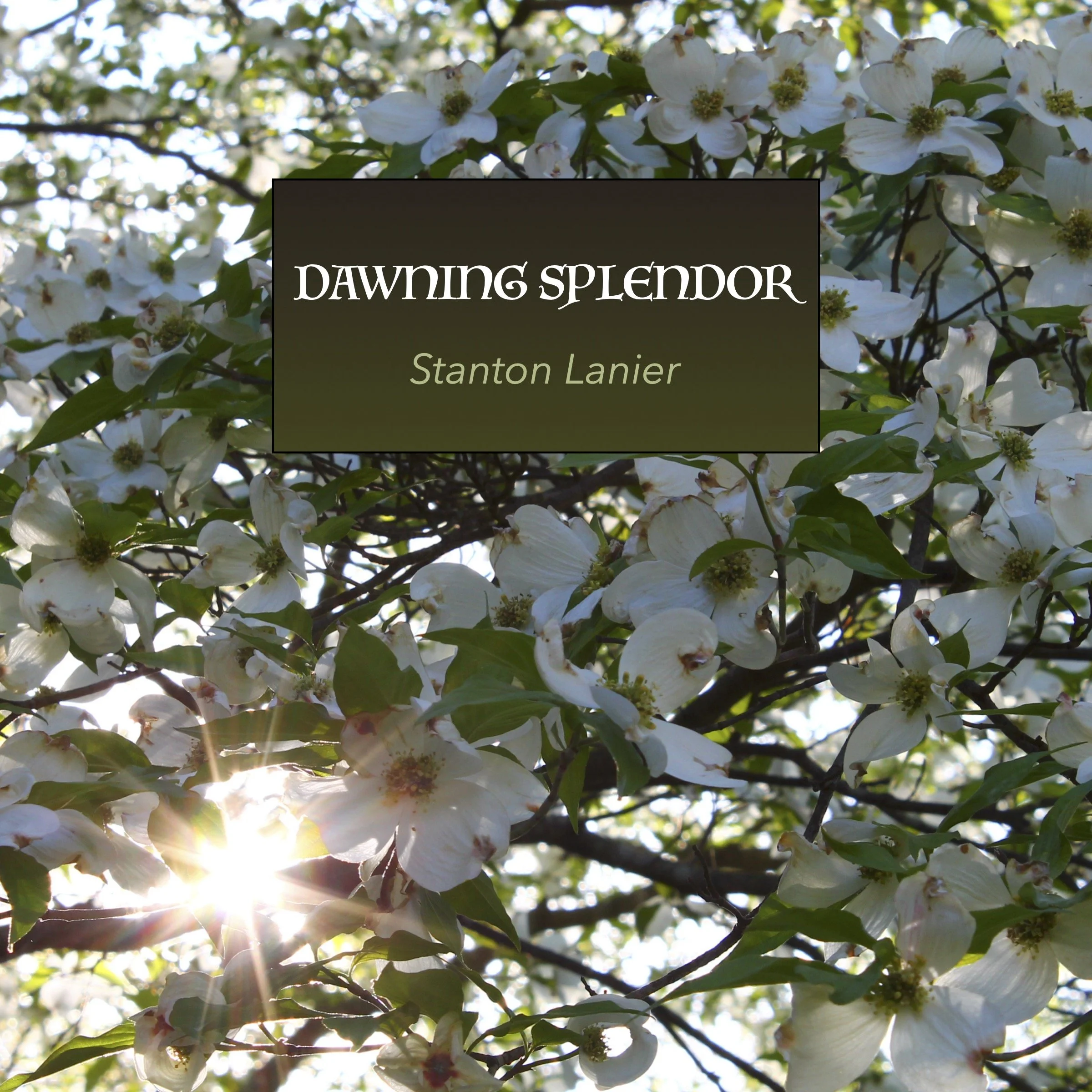 Dawning Splendor