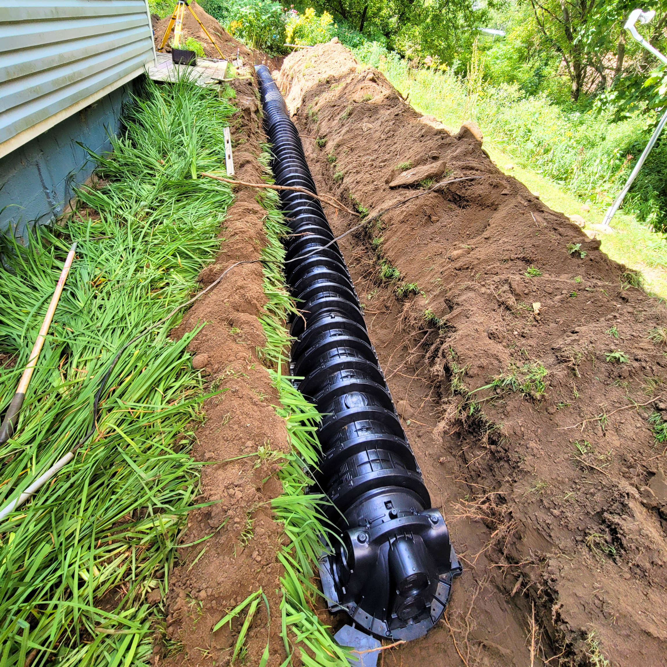A black plastic drainage pipe runs in a trench beside a house, with green plants on one side and an open grassy area with trees in the background.