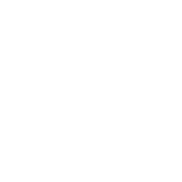 Local expertise in camp lots, shoreline sites, APA regulations and municipal codes.