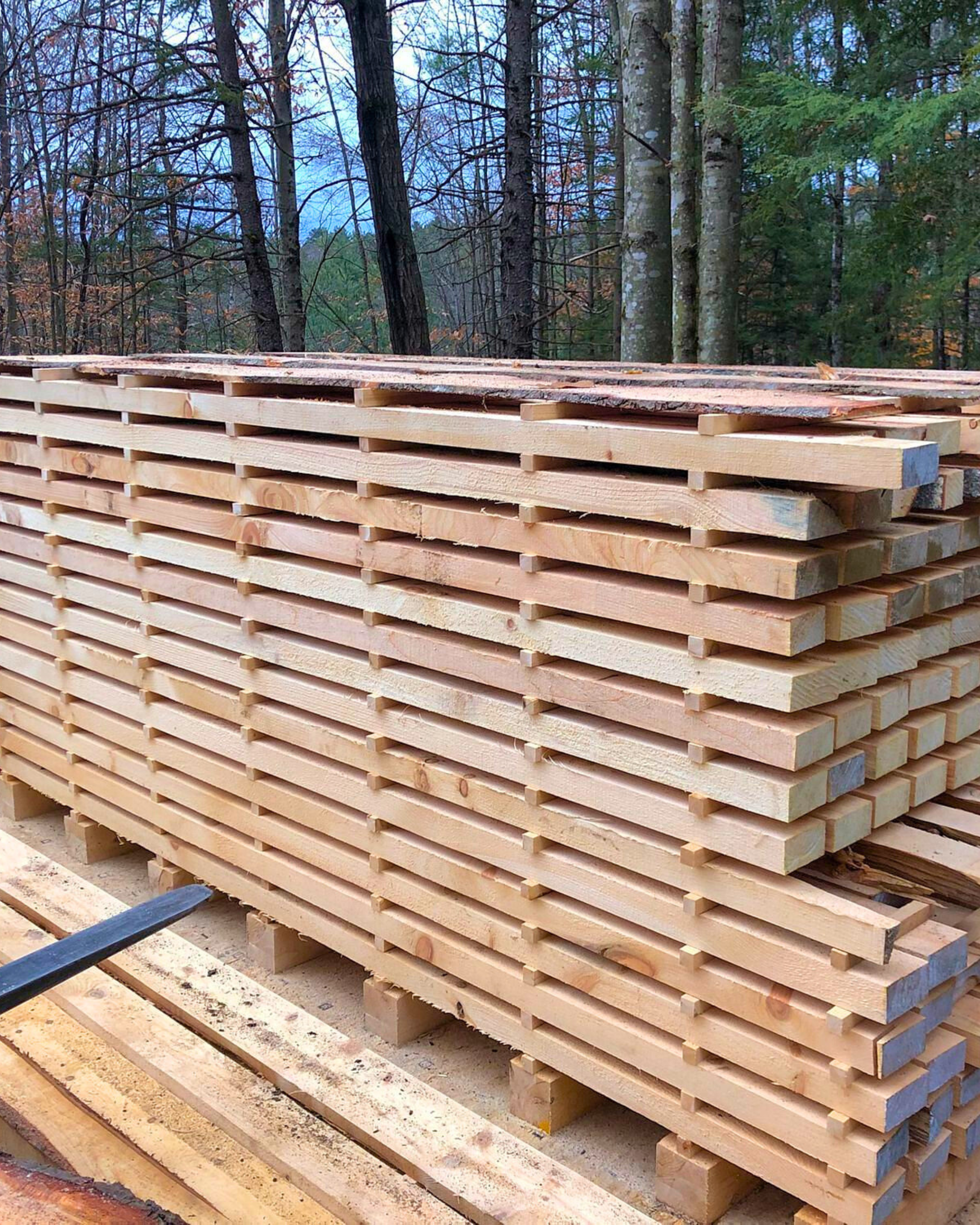 A large stack of cut lumber and plywood planks arranged outdoors in a wooded area.