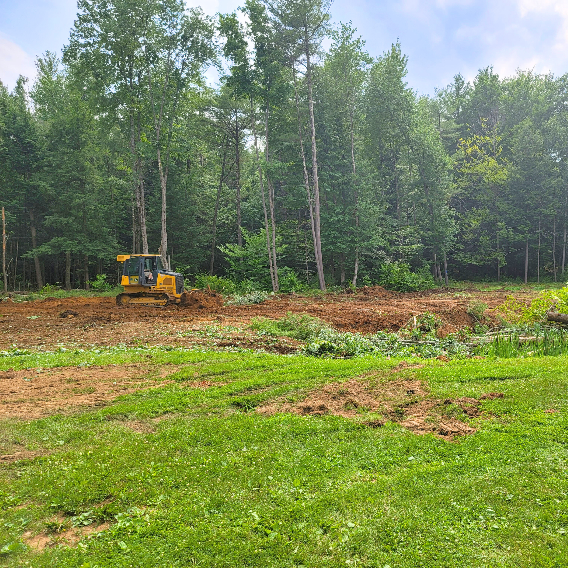 A yellow bulldozer working on a cleared patch of land surrounded by trees and a grassy area in the foreground.