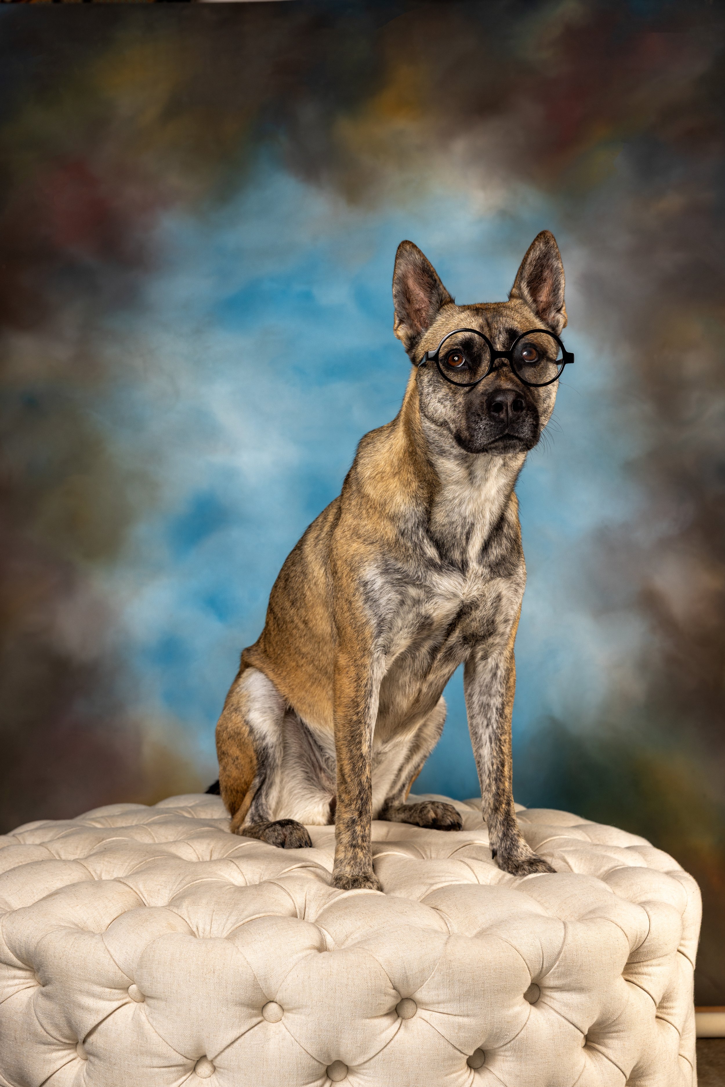 FurFriendsFotography-0135.JPG