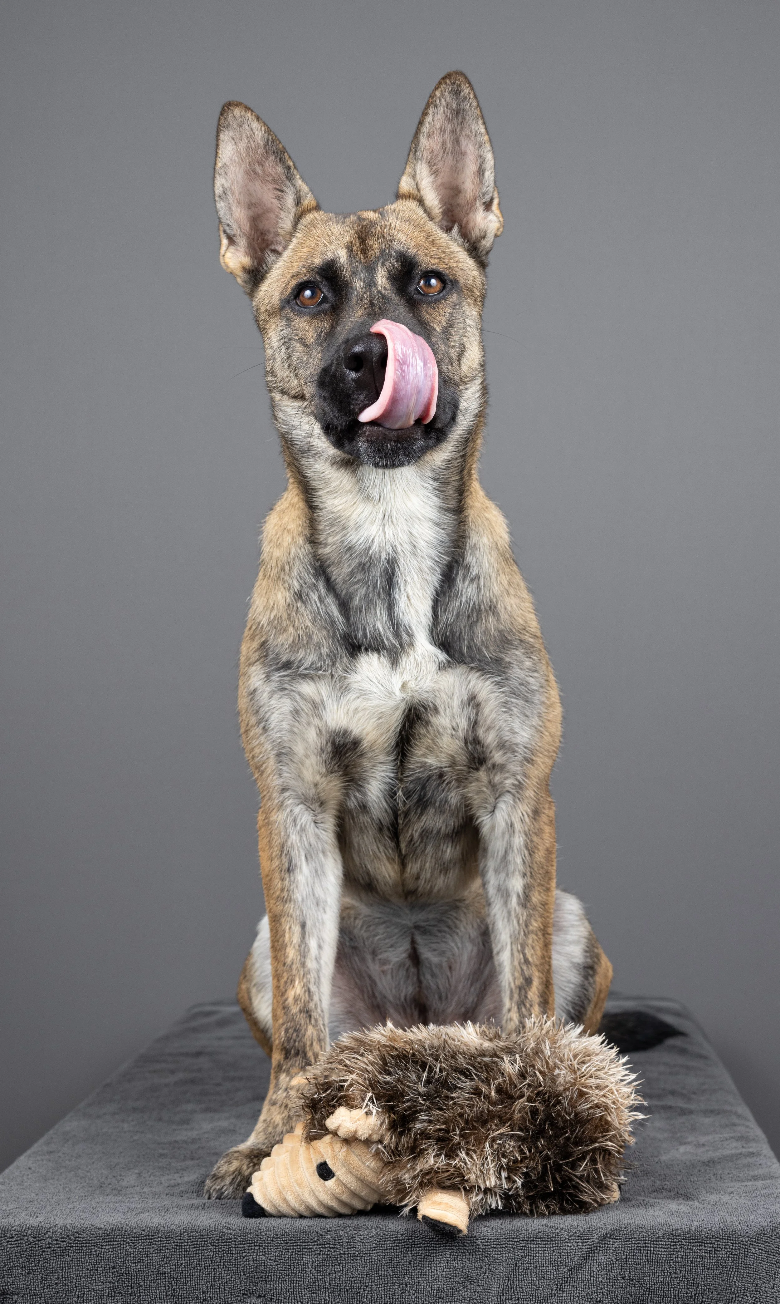 Portrait_24_01_99_0067_R5_Studio - Mochi - Atlanta.jpg