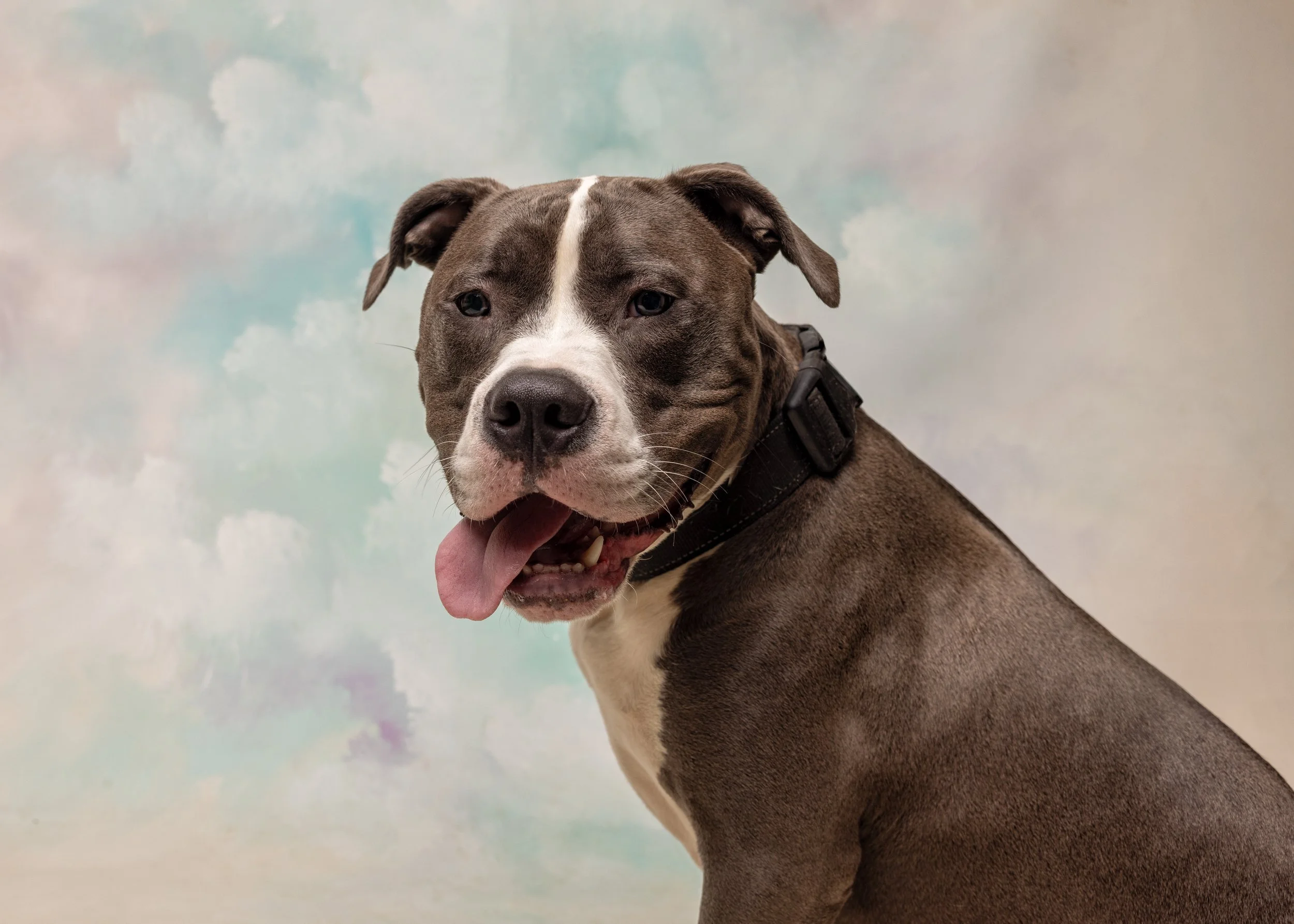 FurFriendsFotography-0115.JPG