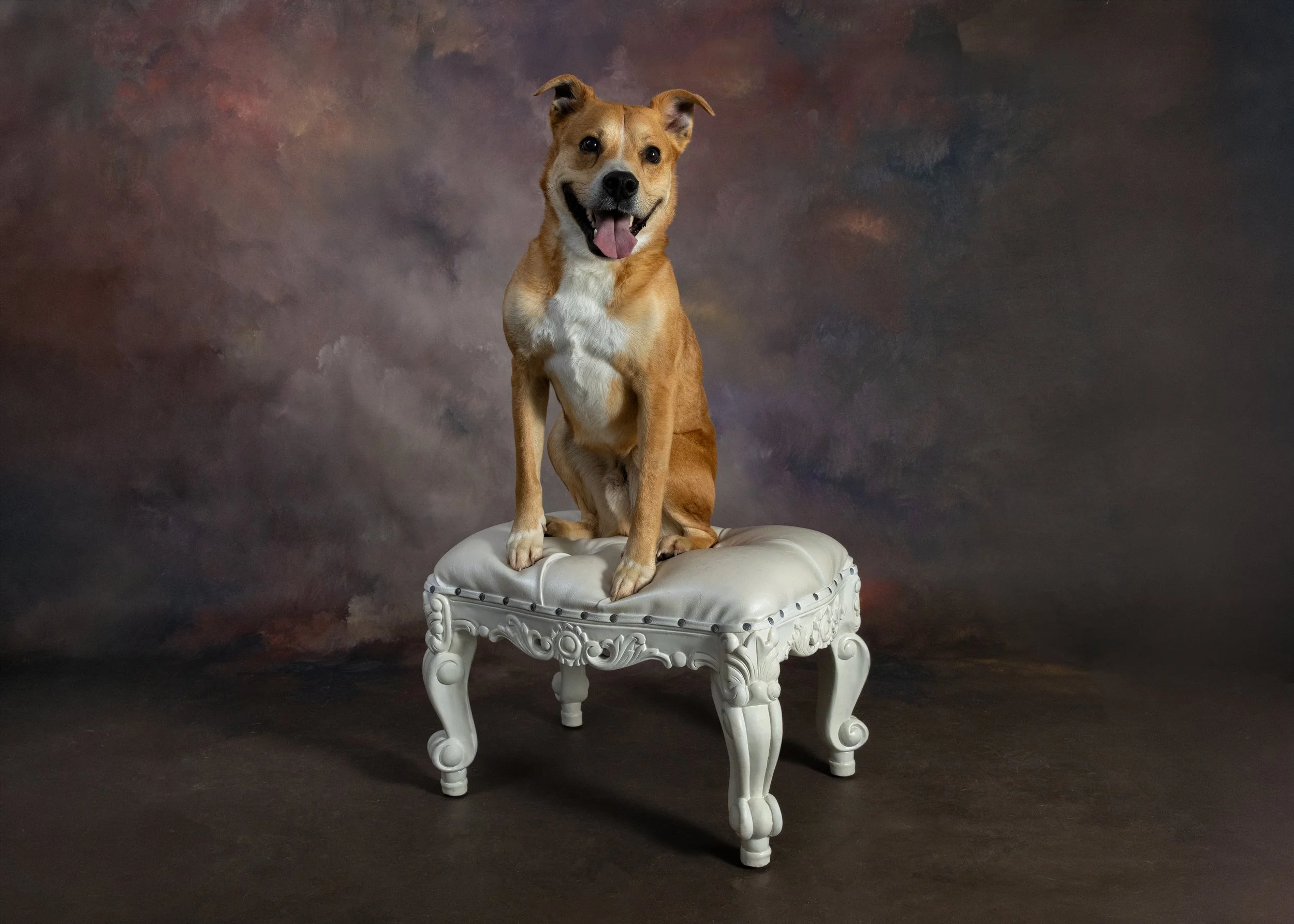 FurFriendsFotography-0091.JPG
