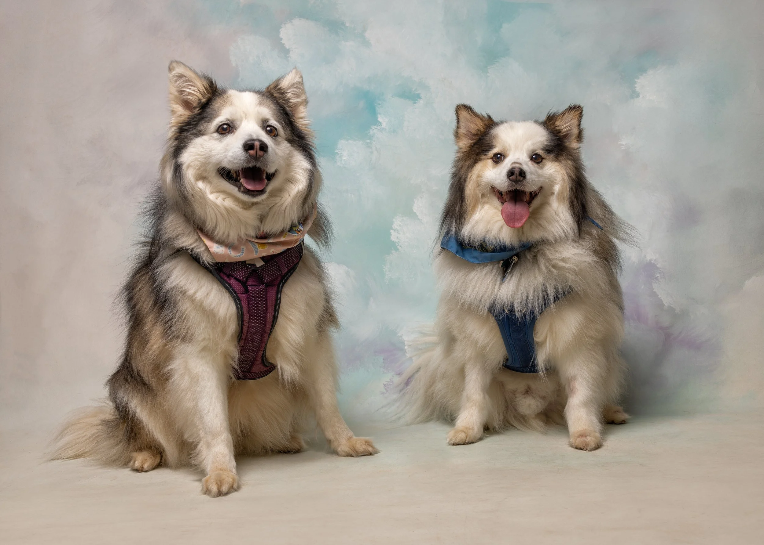 FurFriendsFotography-0114.JPG