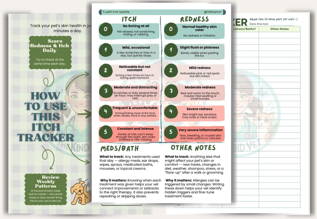 A pet itch and redness daily tracking chart showing levels from 0 to 5, with descriptions for each level of itch and redness, along with sections for medications, bath notes, and other notes.