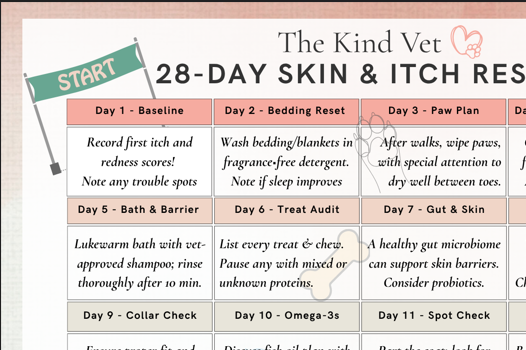 Skin & Itch Reset Challenge