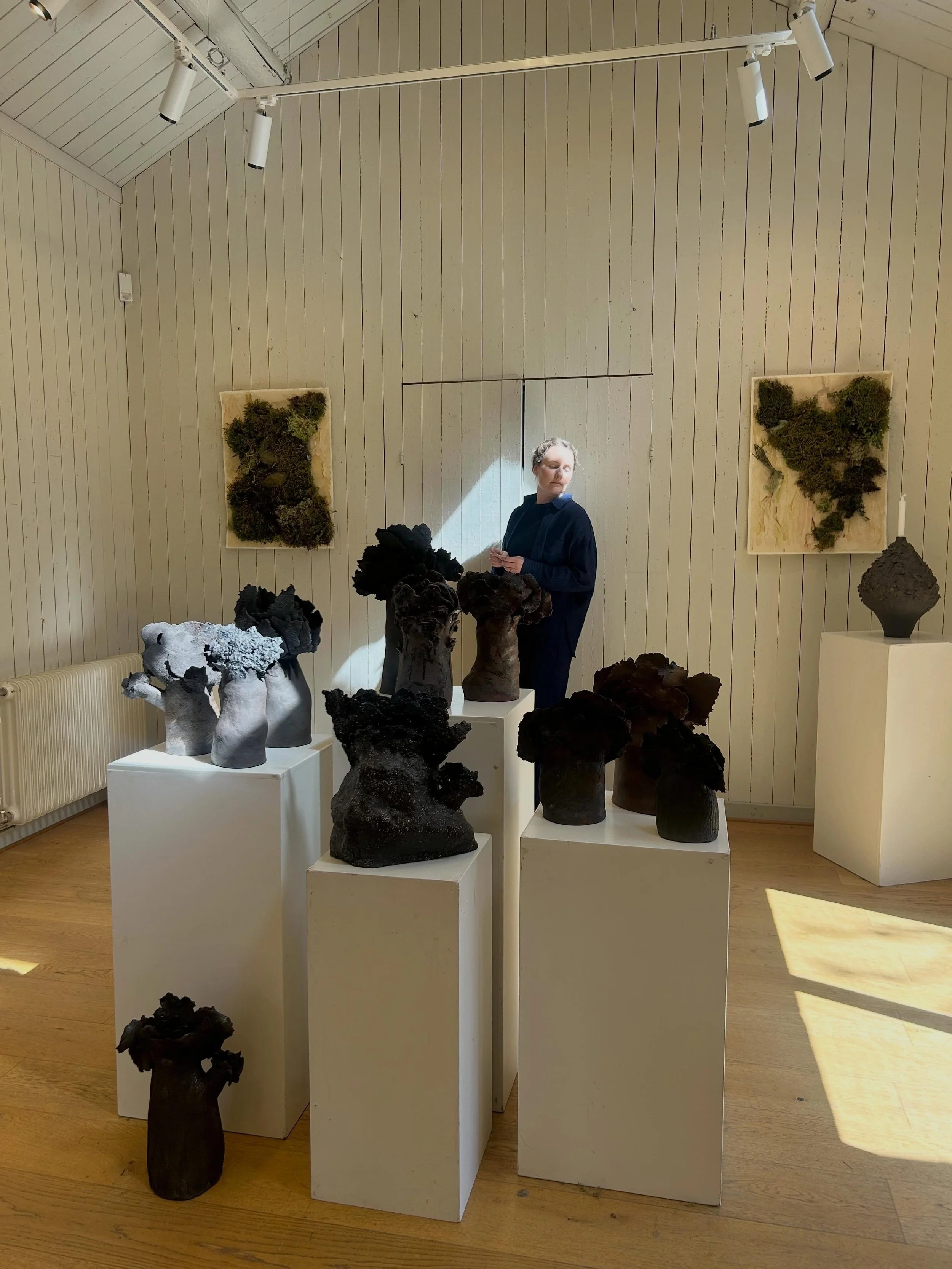 Finaldagen. En vecka fylld av fina samtal och m&ouml;ten. S&aring; tacksam att jag fick g&ouml;ra detta, det gav verkligen mersmak. Tack @wadkoping_orebro f&ouml;r f&ouml;rtroendet!

.

.

#exhibition #art #tree #ceramics #handcraft