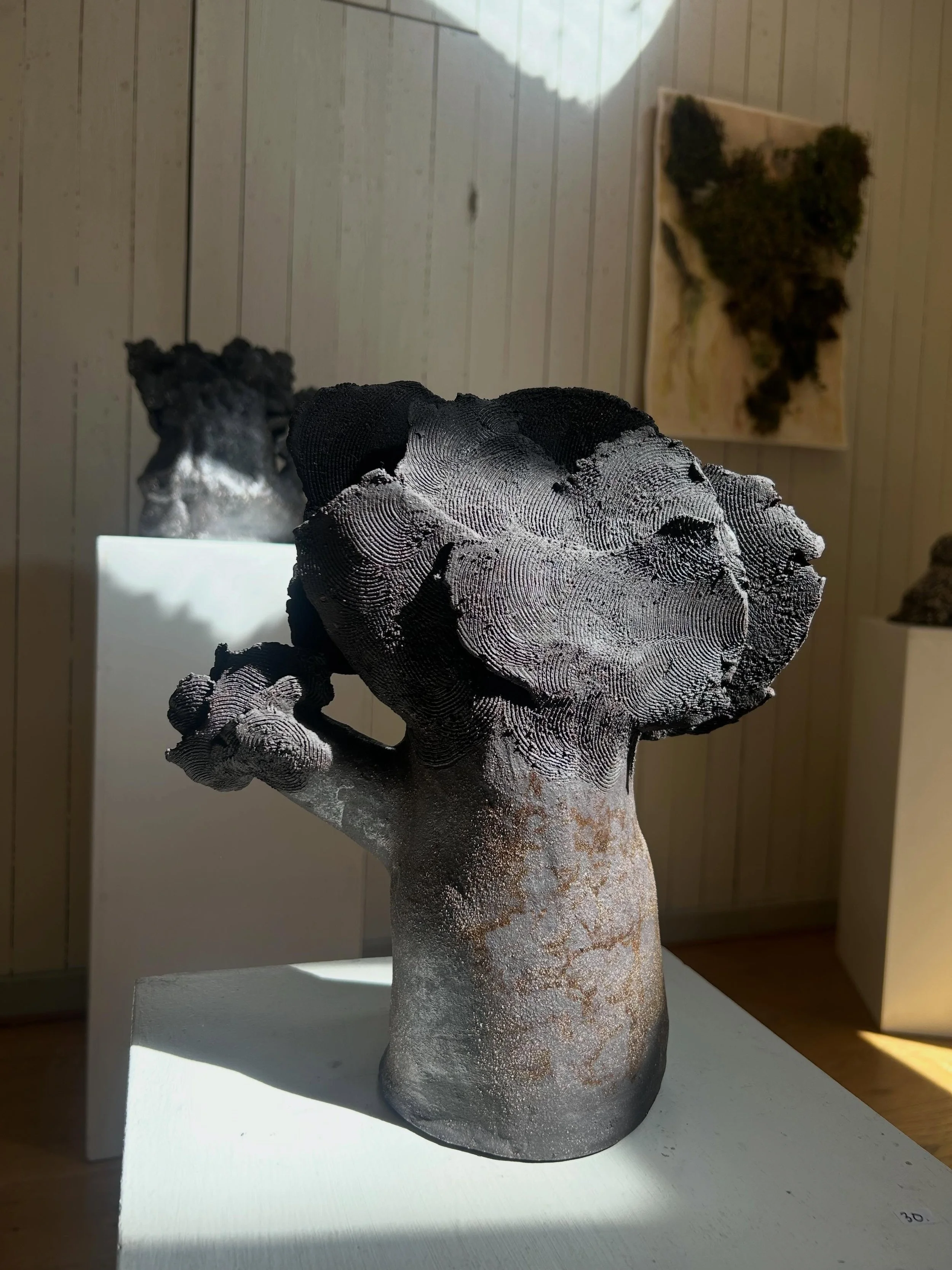 Tr&auml;d i rummet.

.

.

#exhibition #&ouml;rebro #ceramics #sculpture #wadk&ouml;pingsrummet