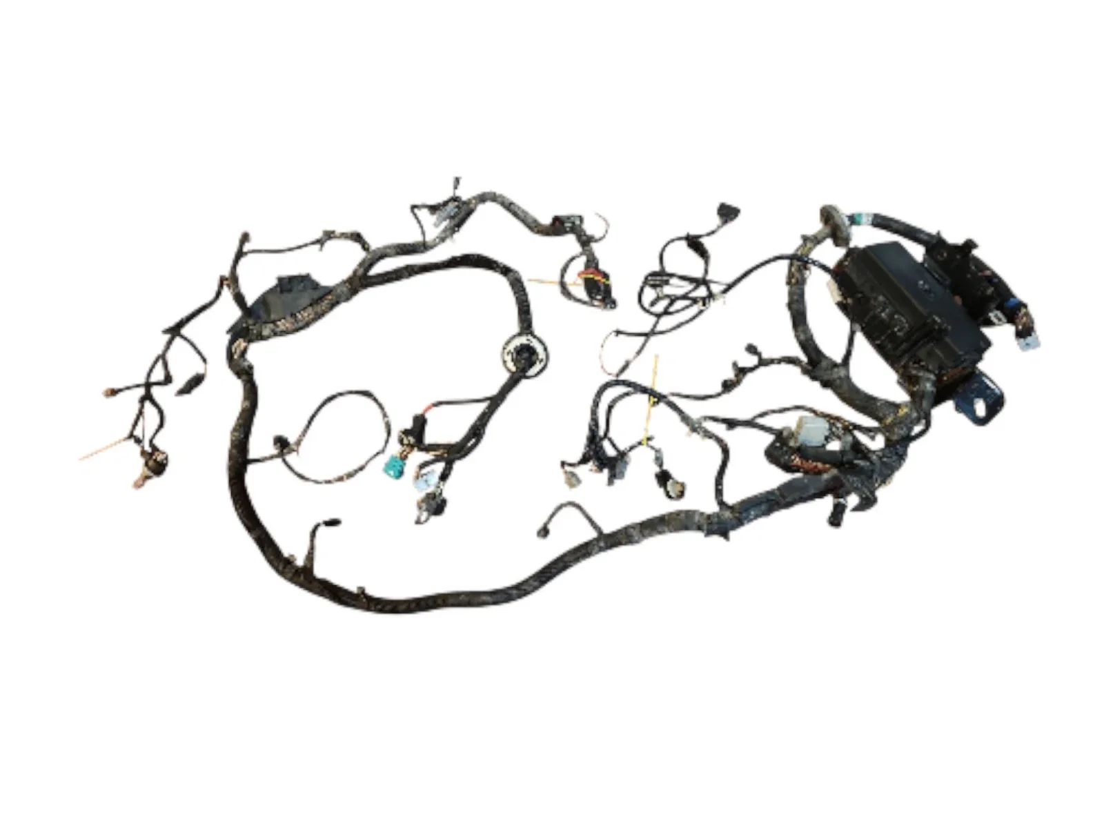 Harness 08 ENG ADH.webp