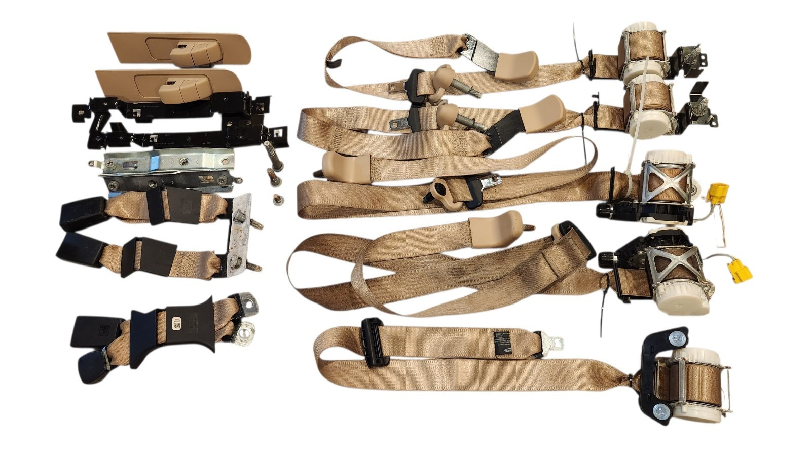 seat belt 11 adobe cc.png