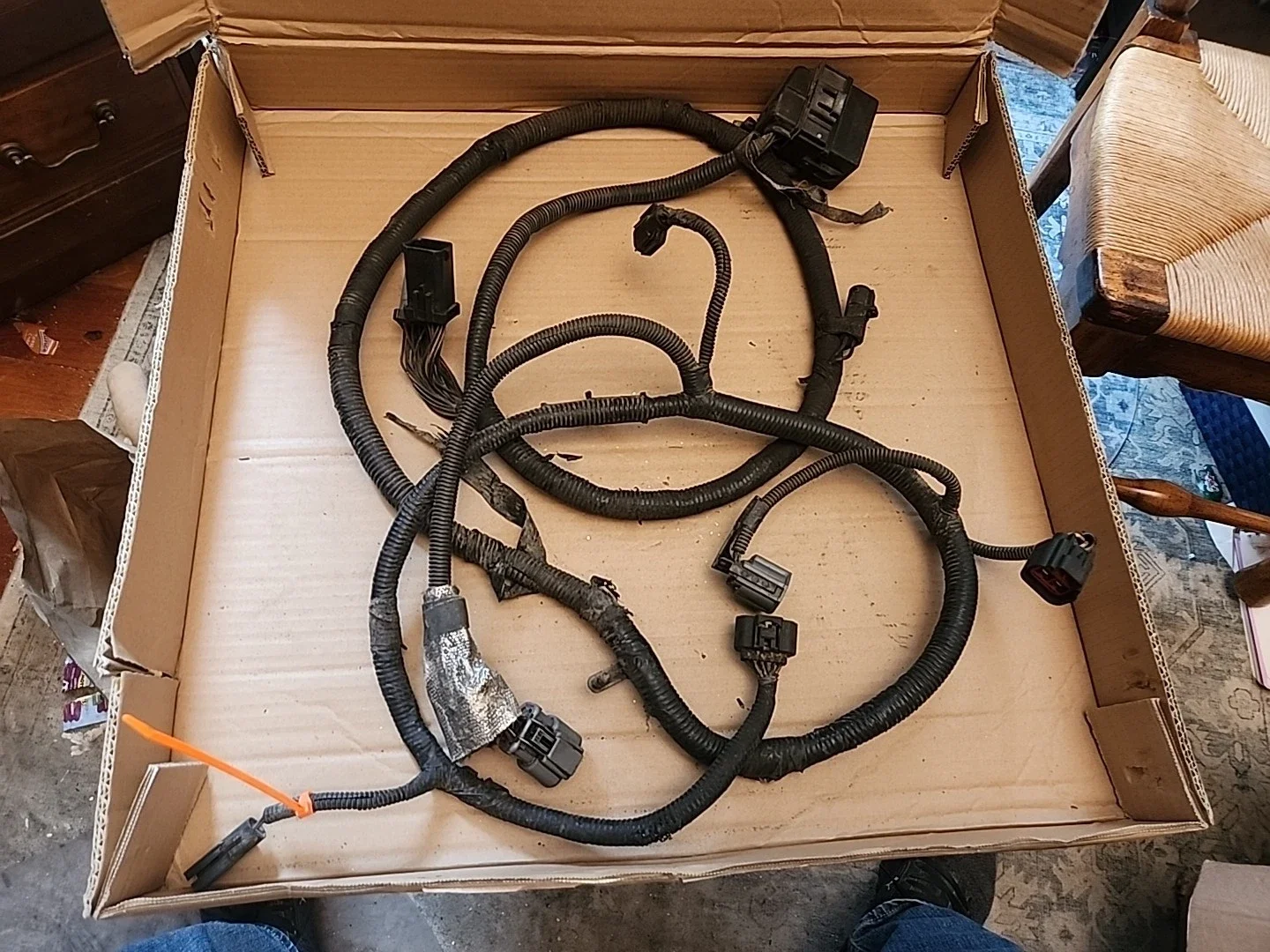 2001 Transmission Harness: 1999 2000 2001 Ford F250 F350 7.3 Automatic Transmission 4x4 Harness