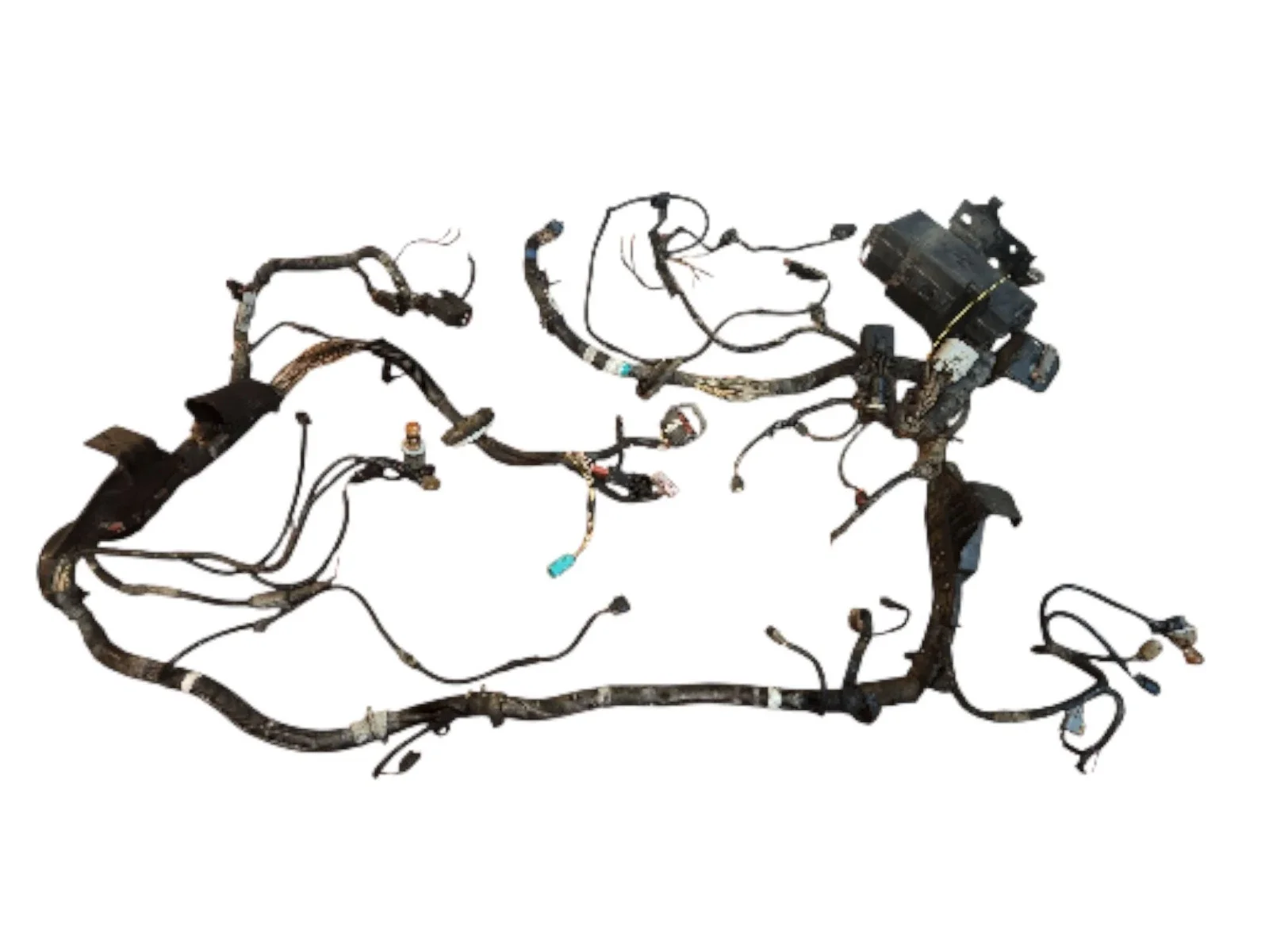 Harness 08 Eng ADG.webp