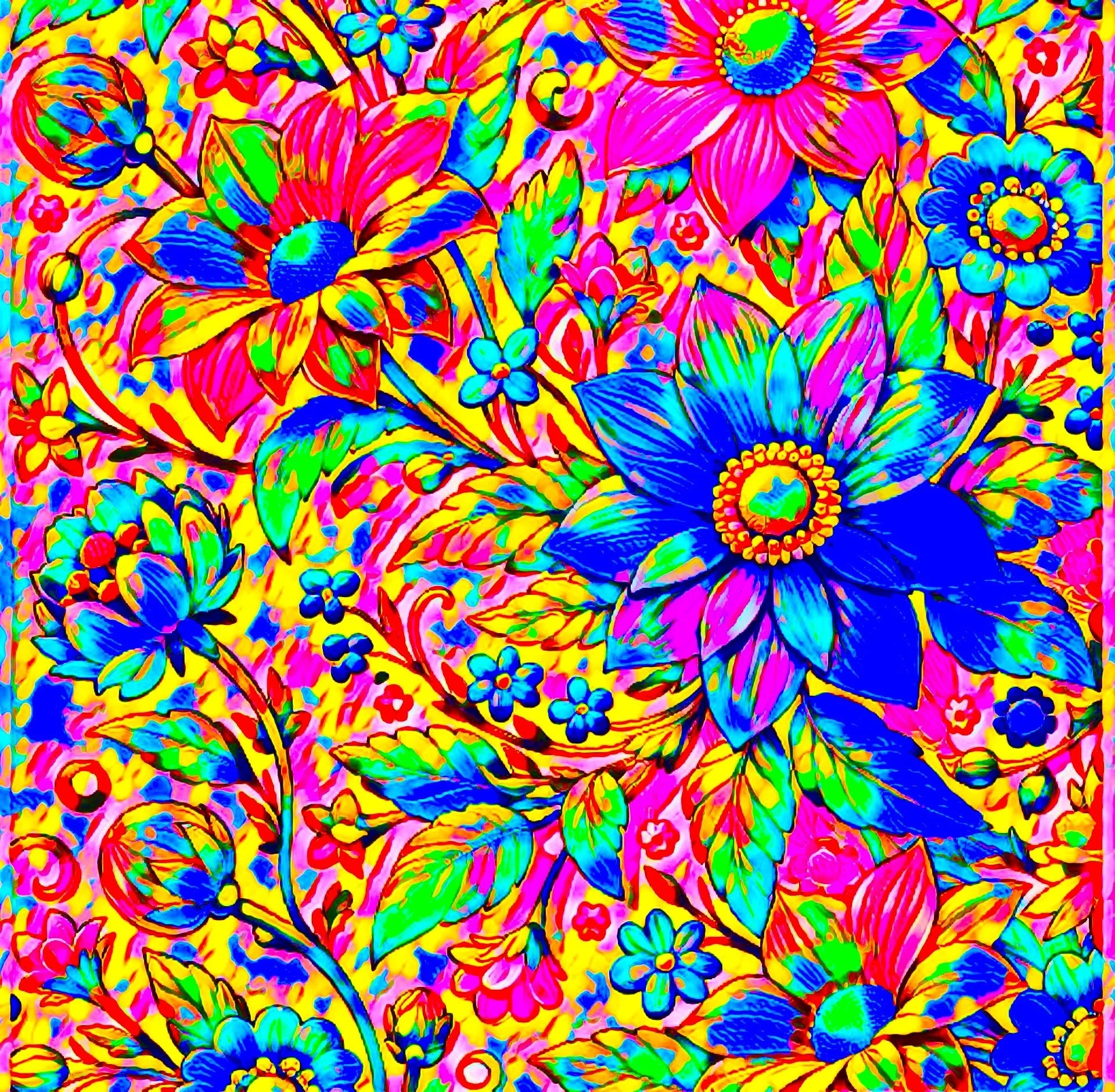 IMG_3142 Edited.jpeg