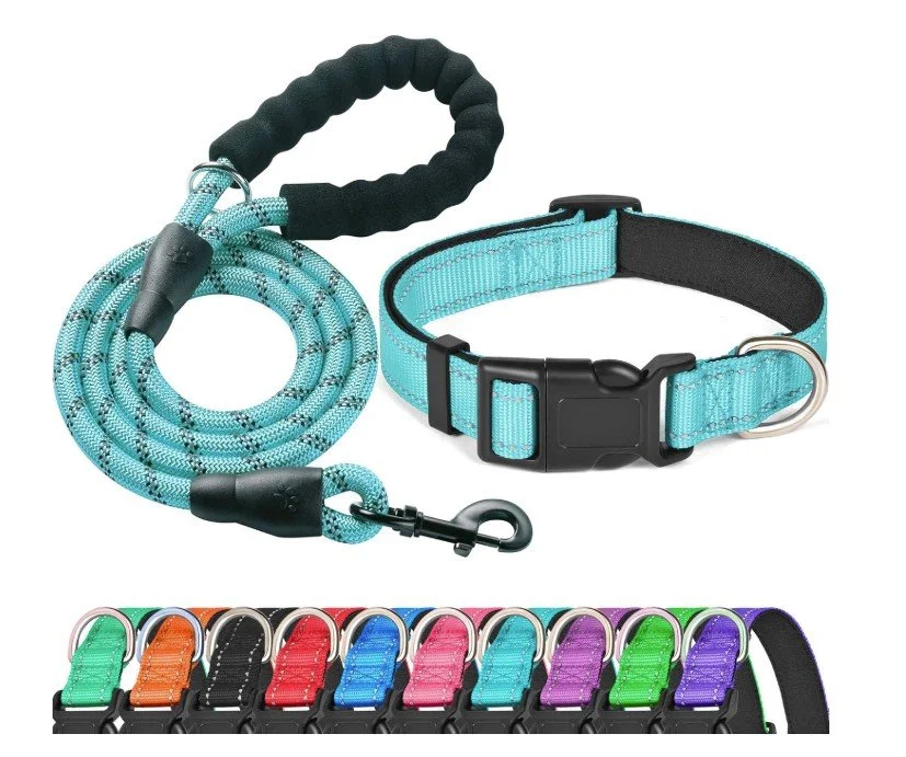 Matching Puppy Collar and Leash