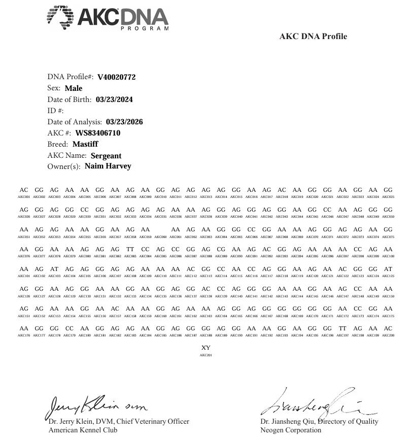 Sgt DNA Profile.jpg