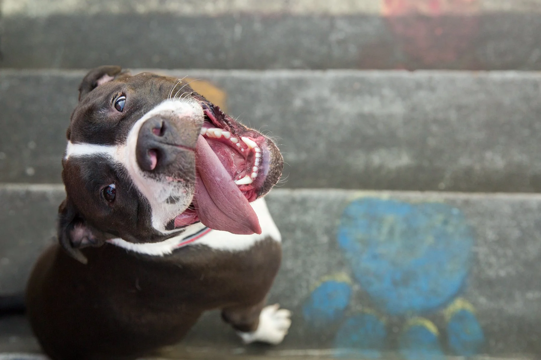 Grand Opening Specials