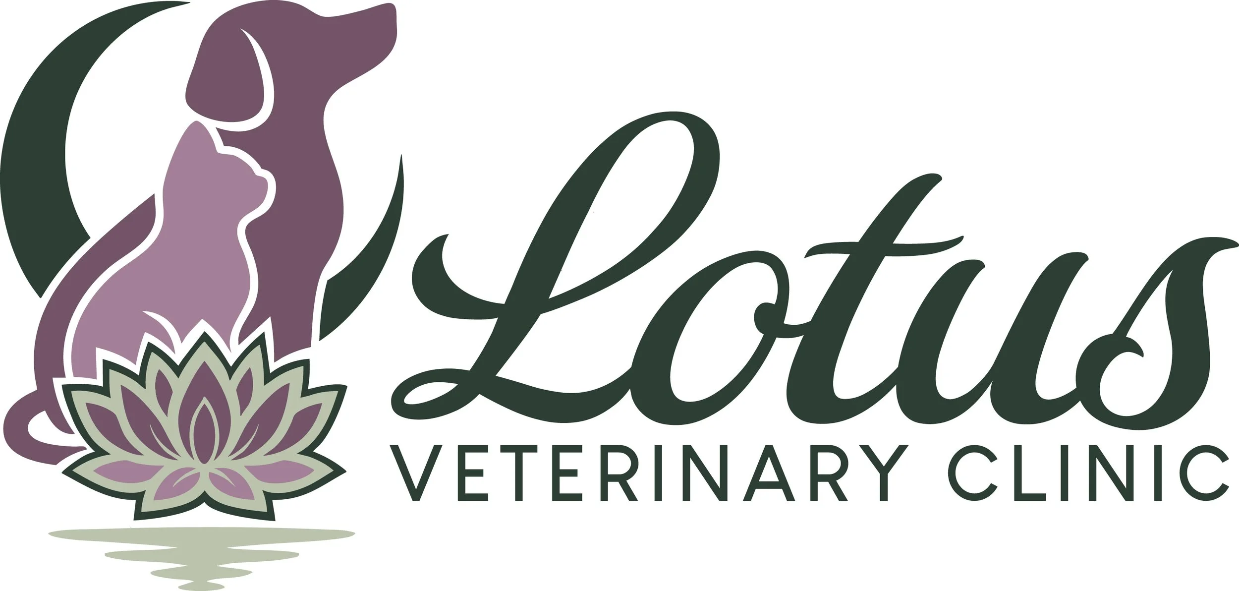 The Story Behind the Name