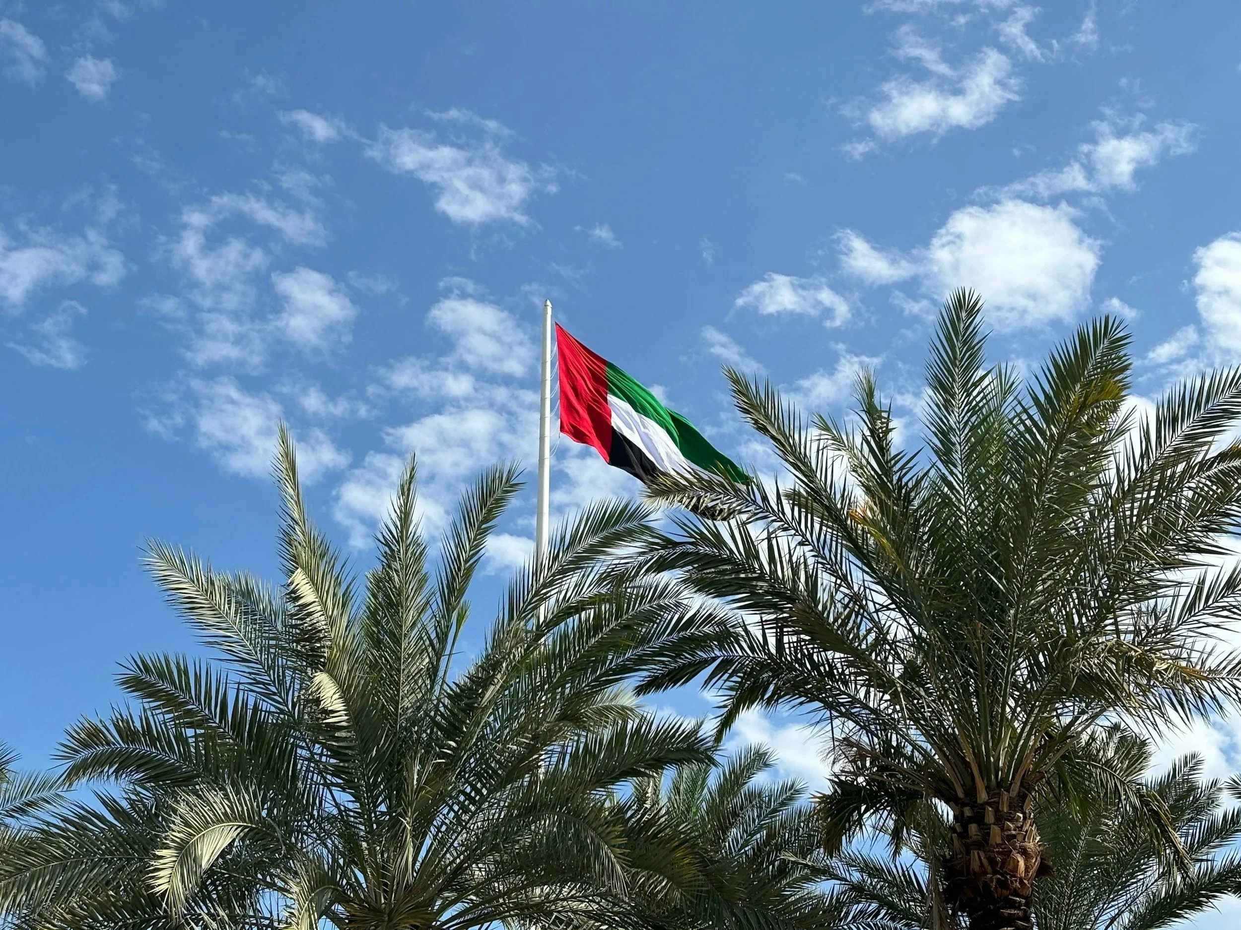 UAE flag flying above palm trees against a blue sky with scattered clouds.