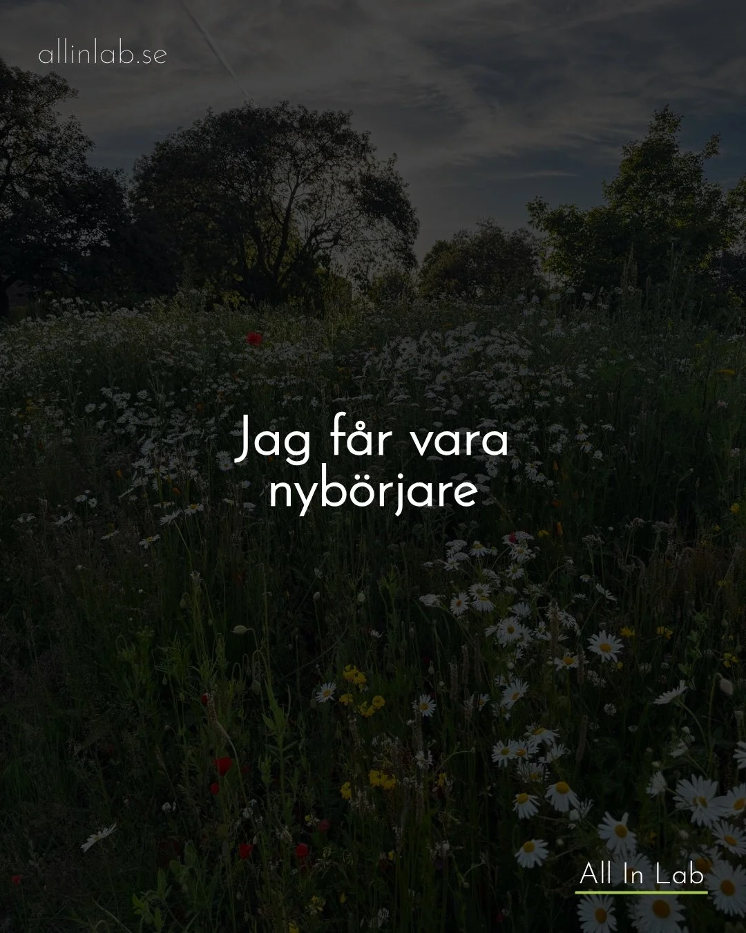 Att ge sig sj&auml;lv lov att satsa &auml;r inte ett enkelt beslut, f&ouml;r n&aring;gonstans har vi l&auml;rt oss att vi m&aring;ste k&auml;nna oss s&auml;kra, redo och tillr&auml;ckligt bra f&ouml;rst. 

Saker som v&auml;ldigt s&auml;llan finns p&a