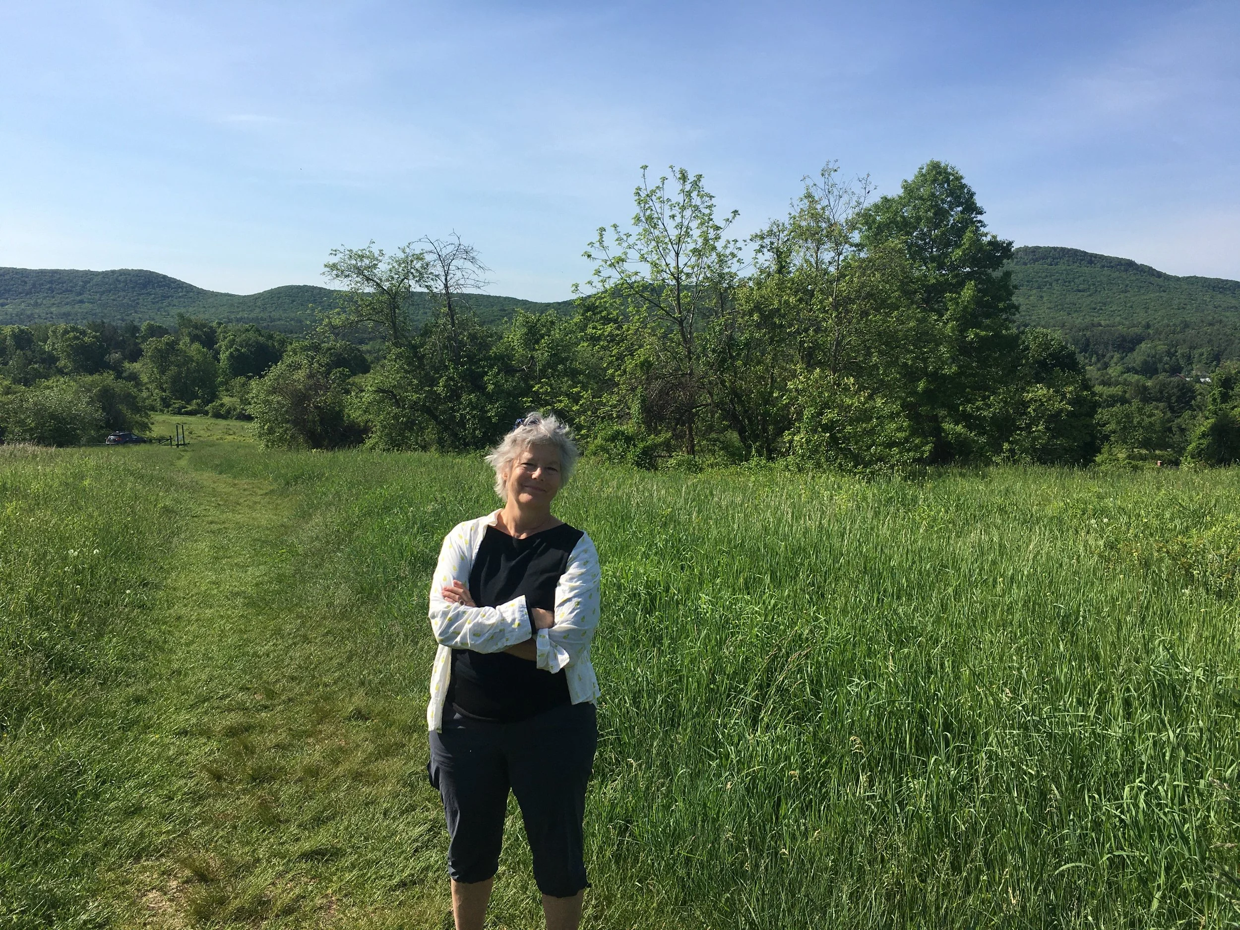 Pathways to Clarity: Insights &amp; Reflections