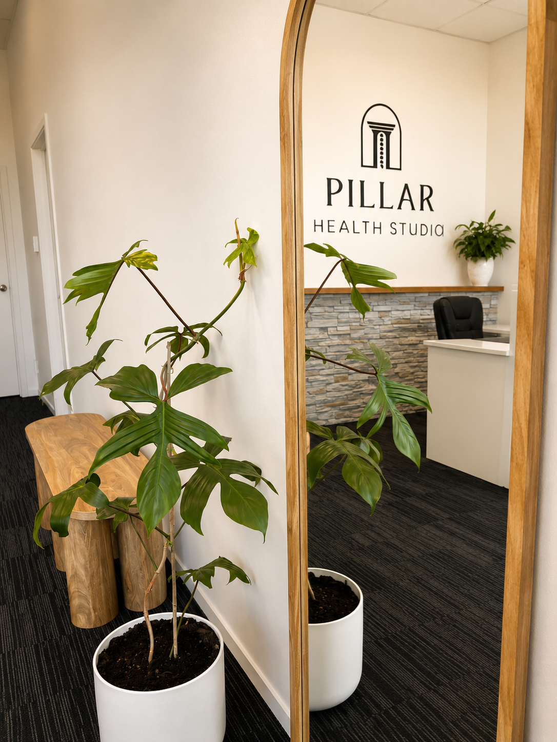 Reception mirror and plant.PNG