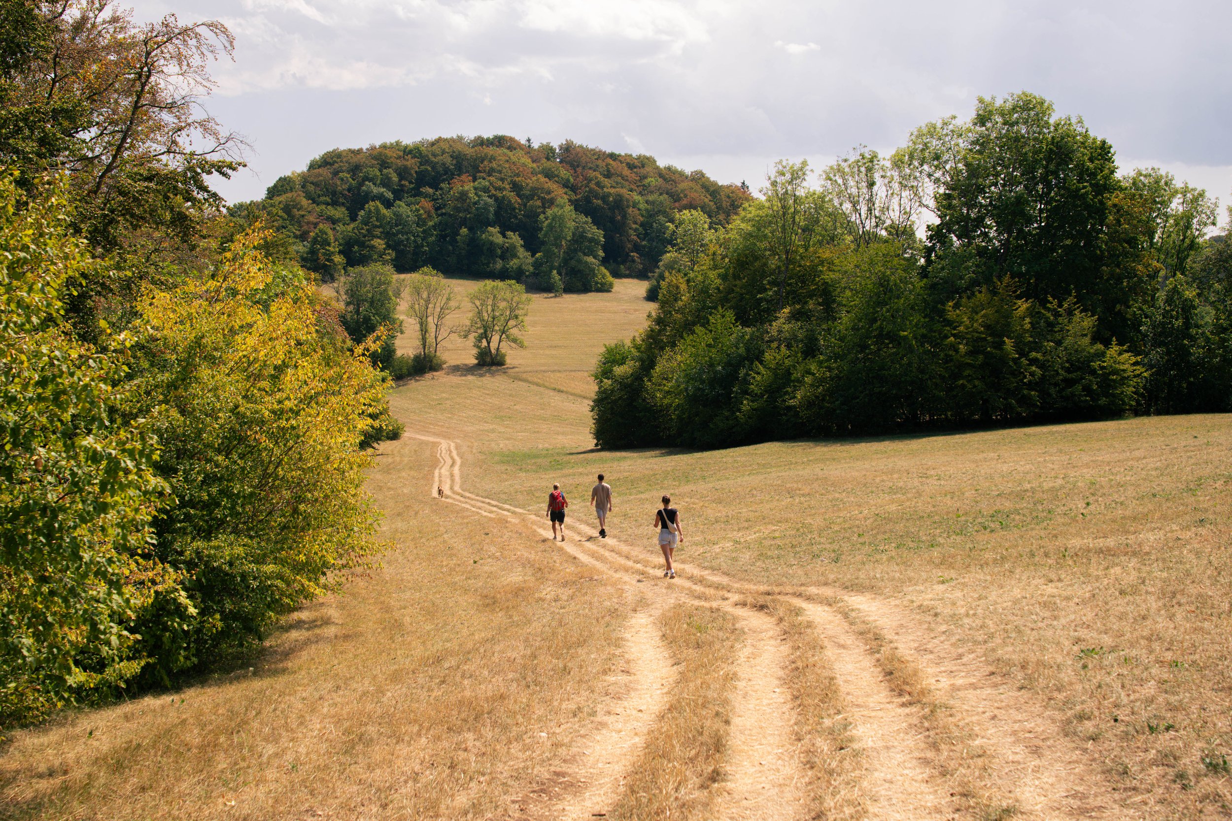 summer26-56.jpg