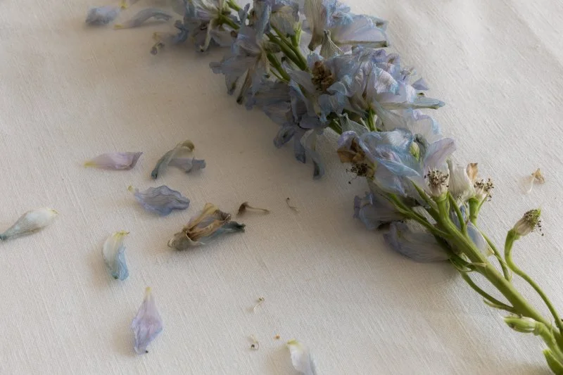 Setting financial goals