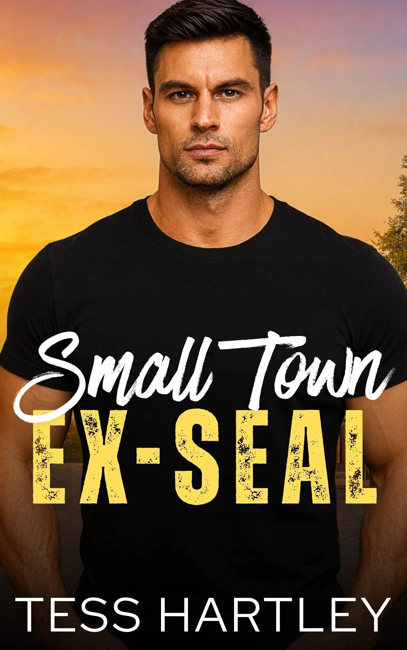 Book cover of 'Small Town EX-SEA' by Tess Hartley, featuring a man with short dark hair wearing a black T-shirt, against a sunset background. Text overlay displays the title and author's name.