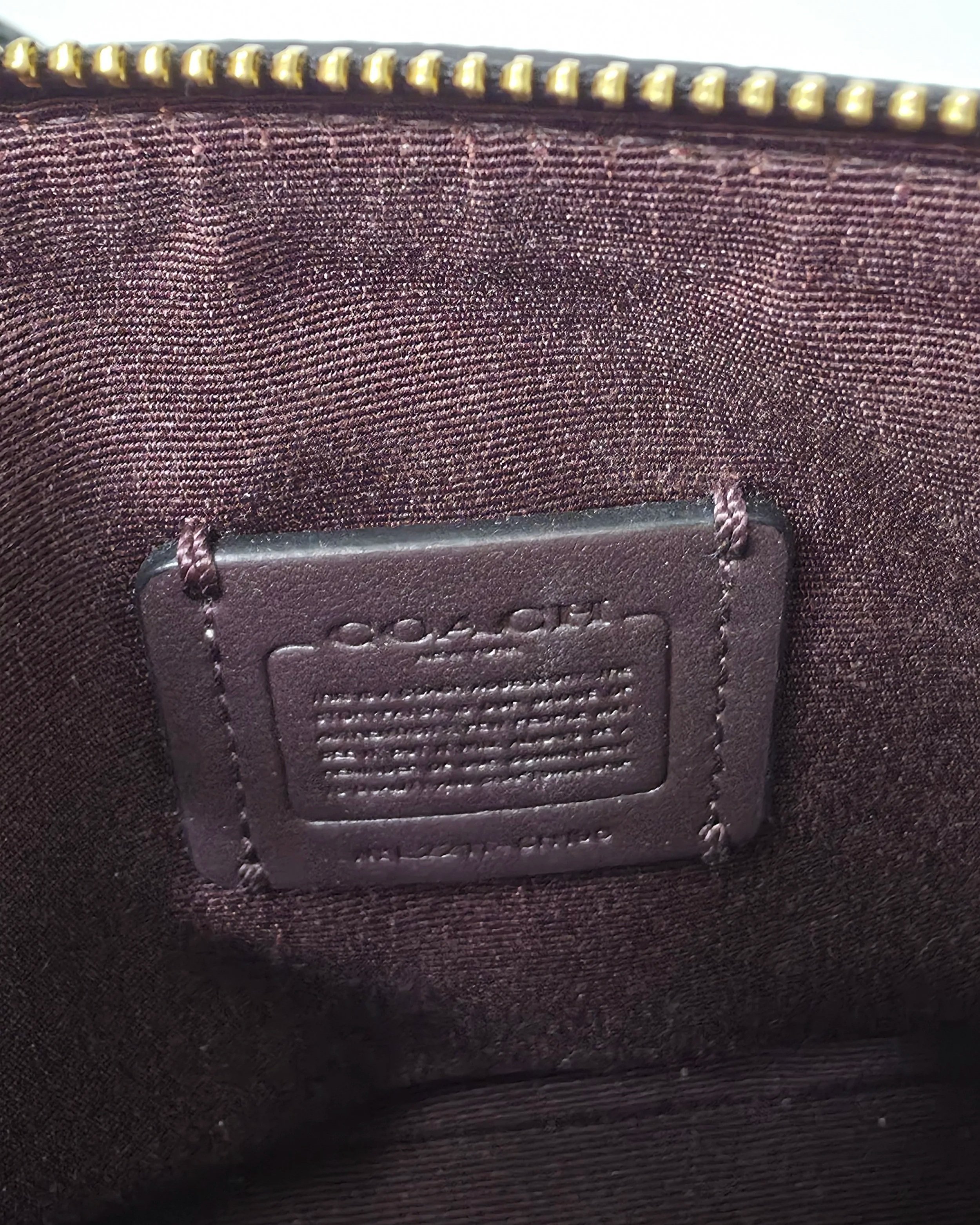 Coachminileather2.jpg