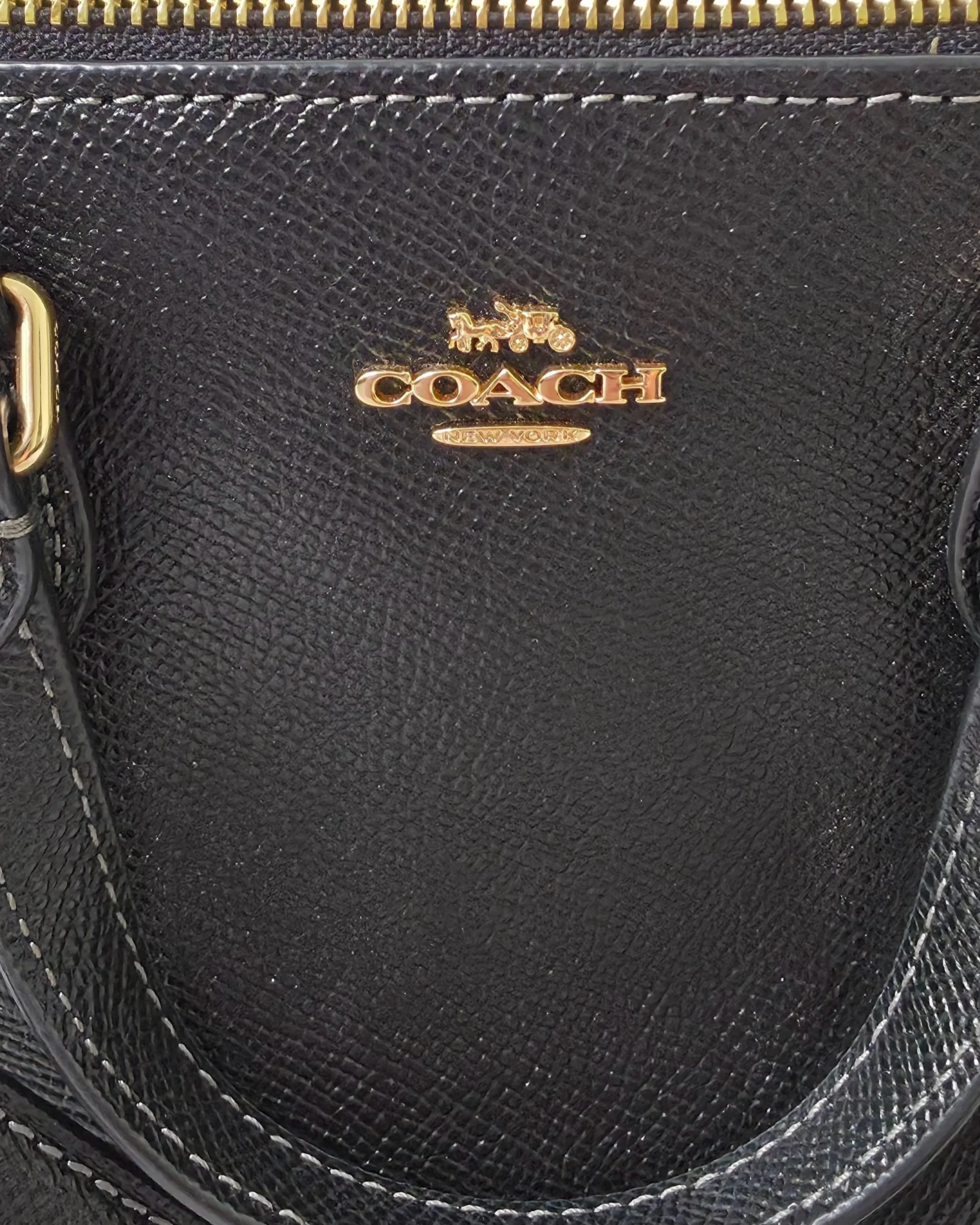 Coachminileather4.jpg