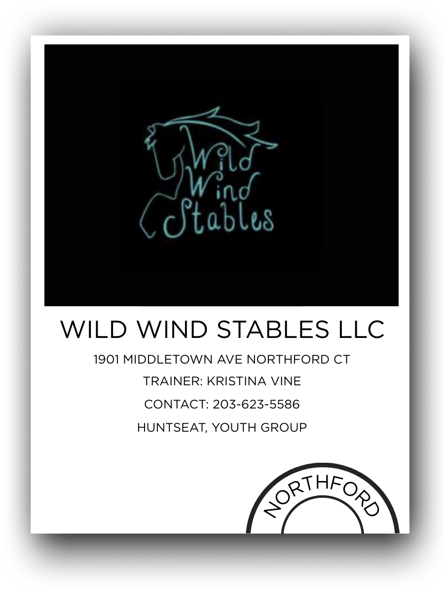 Neon sign with a horse and the words 'Wild Wind Stables' above contact information for Wild Wind Stables LLC in Northford, CT.