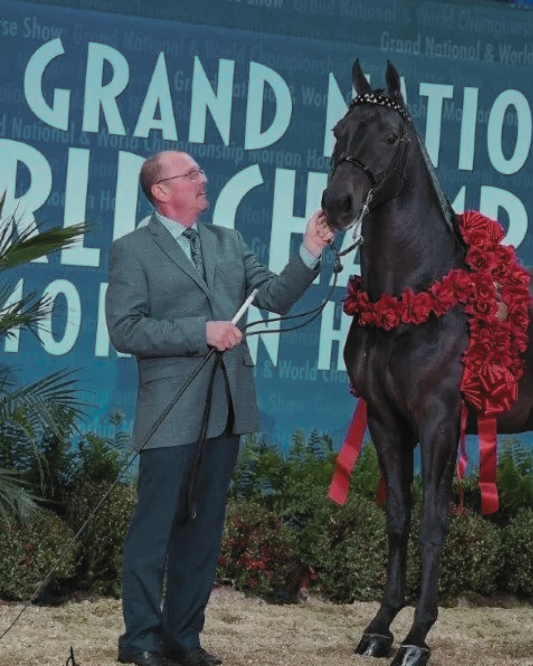 An elderly man in a suit petting a black horse decorated with a red flowered wreath at a ceremonial event.