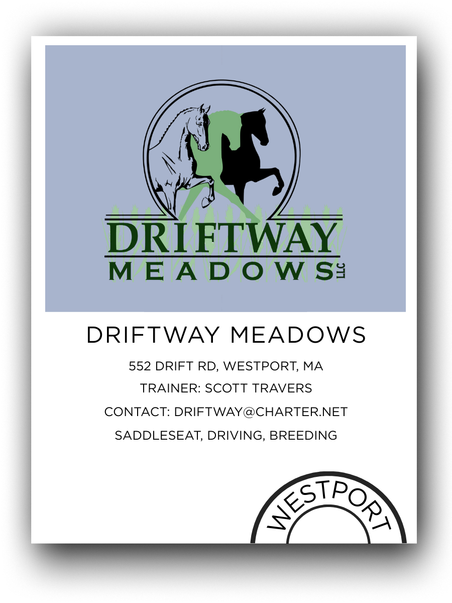 Business card for Driftway Meadows, LLC, featuring a logo with two horses and mountain scenery, and contact information for horse training services.