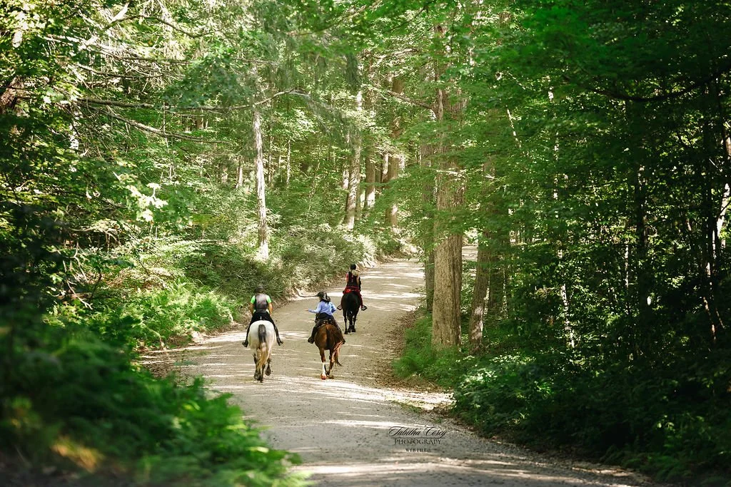 Three people riding horses on a dirt path through a lush green forest.
