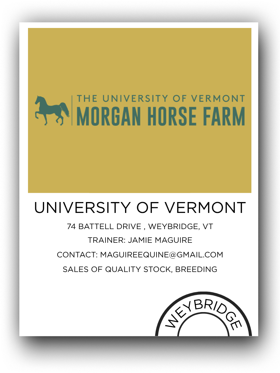 A business card for the University of Vermont Morgan Horse Farm featuring a horse logo, contact information, and location details in Weybridge, Vermont.