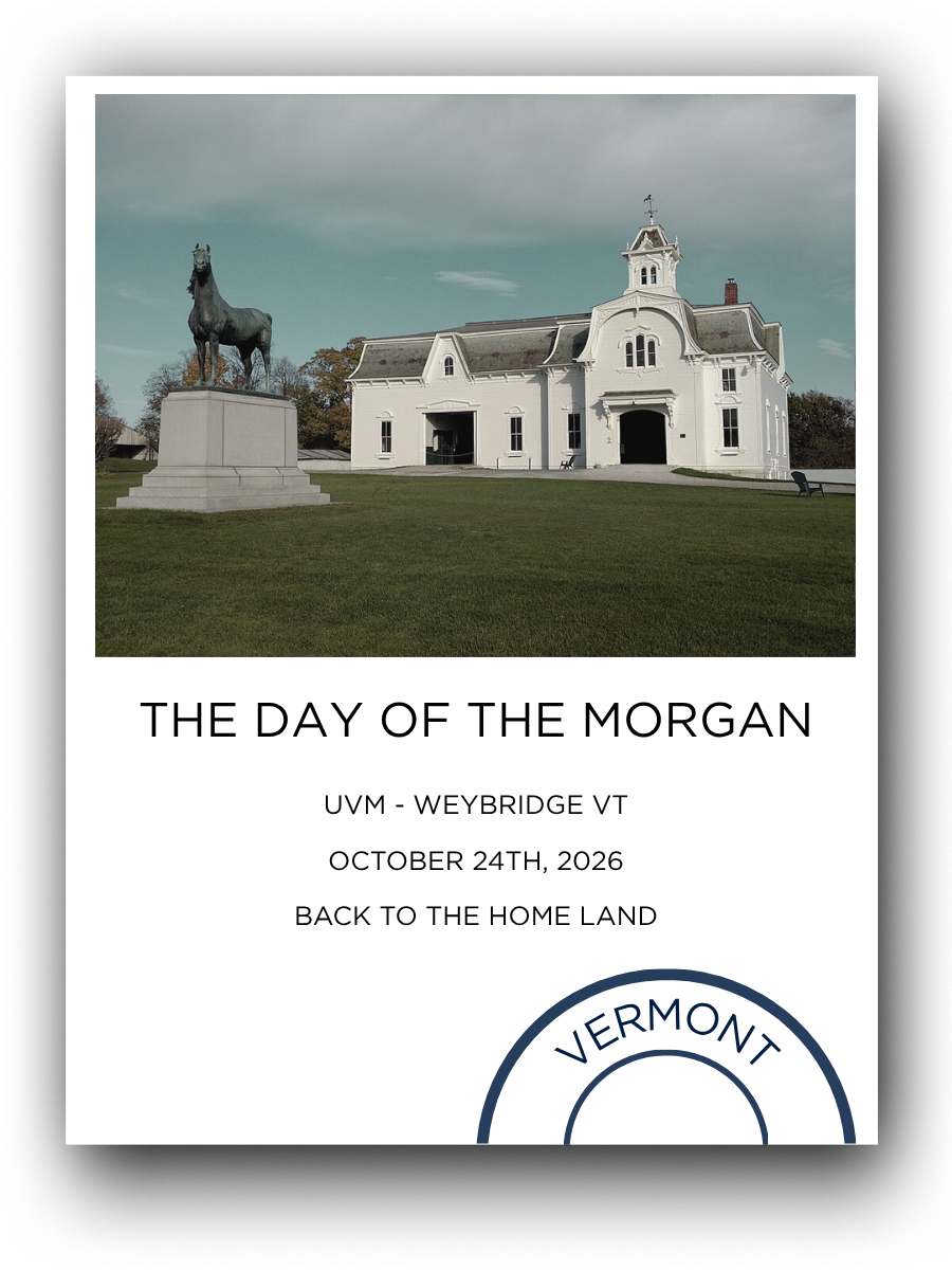 A flyer featuring a historic white church with a steeple and a statue of a horse on a pedestal in front, promoting an event called 'The Day of the Morgan' at UVM in Weybridge, Vermont, on October 24th, 2026, with the phrase 'Back to the homeland' and part of a circular Vermont emblem.