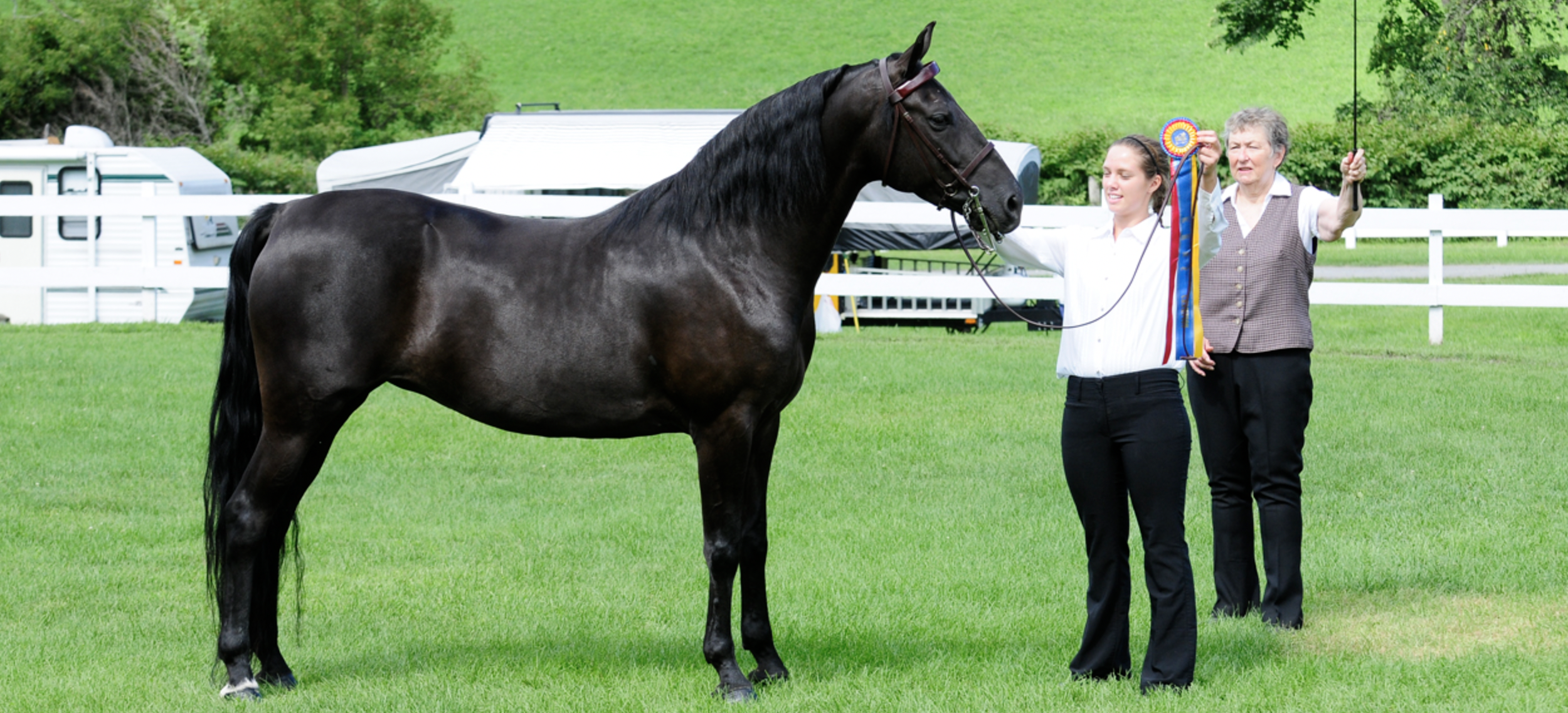 A dark brown horse standing on a green field, being held by a young woman, with an older woman holding a ribbon and a riding crop nearby. In the background, there are trees, white fencing, and pastures.