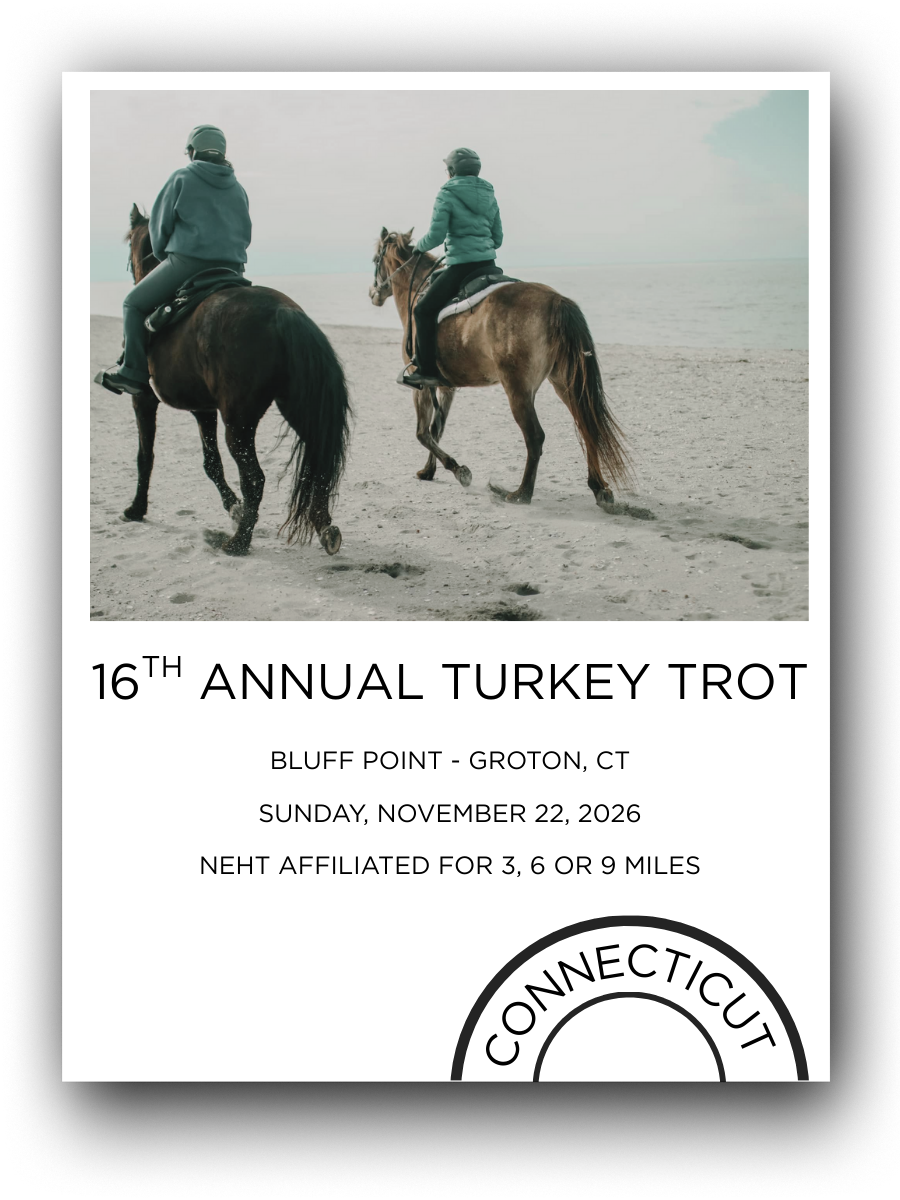 Two people riding horses on a beach for the 16th Annual Turkey Trot in Groton, Connecticut, on November 22, 2026.