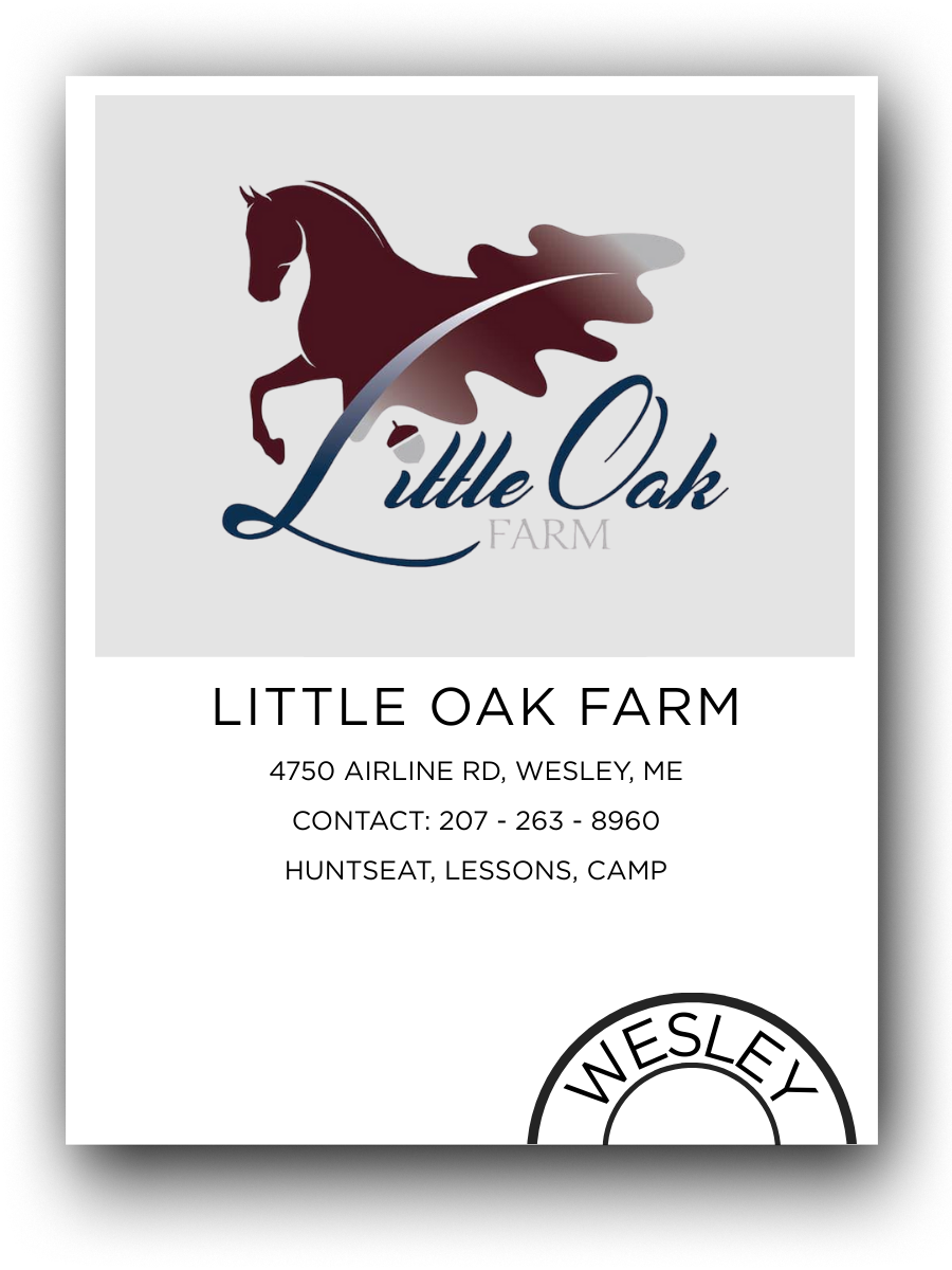 Business card for Little Oak Farm with contact information and location in Wesley, Maine, featuring a logo of a jumping horse with a leaf.