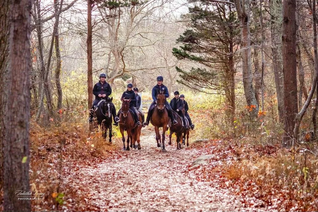 Five people riding horses on a wooded trail in autumn.