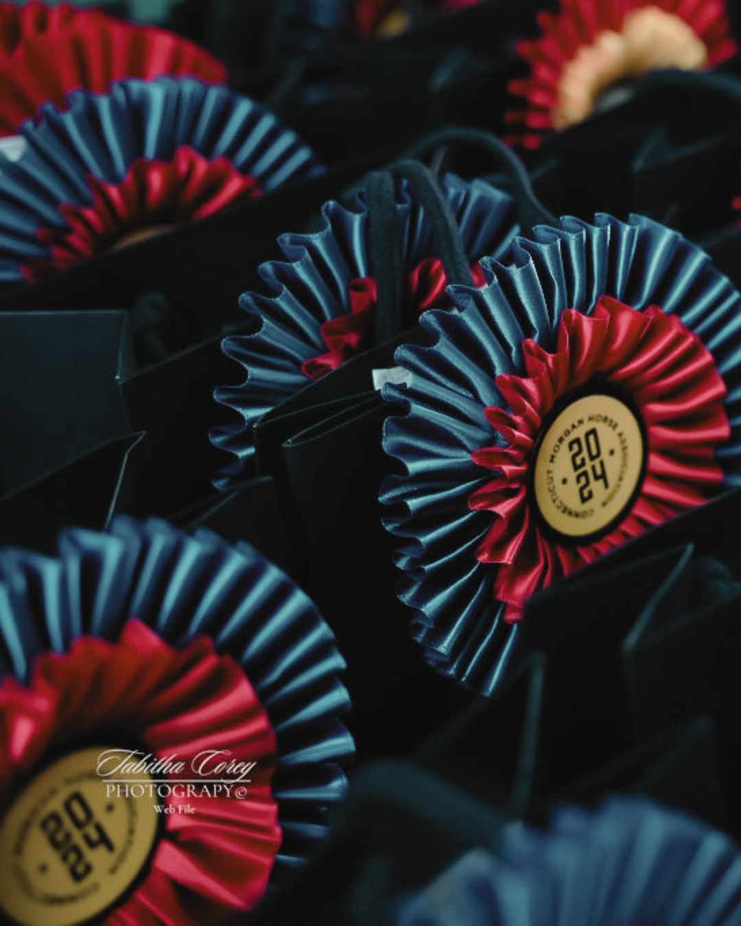 Close-up of layered rosette ribbons in red, blue, and black, attached to a black ribbon with a circular yellow label reading '20-24' and text around the edge.