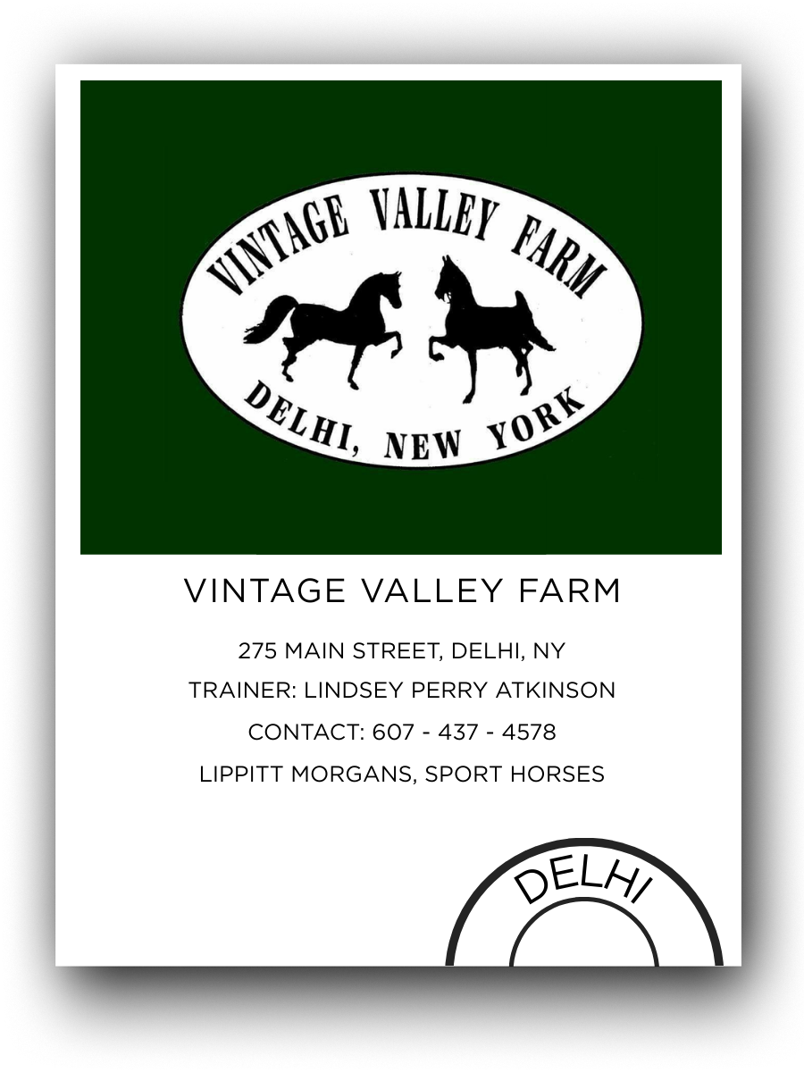 Business card for Vintage Valley Farm, located at 275 Main Street, Delhi, NY. Features logo with two running horses and text including trainer Lindsey Perry Atkinson, contact number, and description of farm specializing in sport horses.