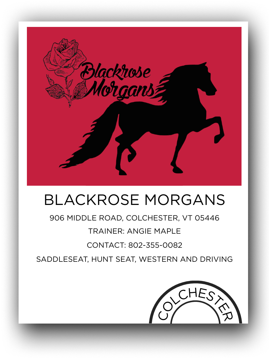 Business card for Blackrose Morgans with a red background, a black silhouette of a running horse, a rose illustration, and text details including address, trainer, contact, and services.