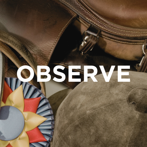 The Observer Experience