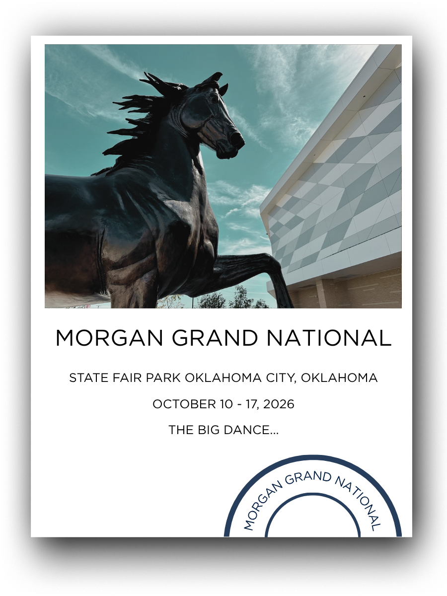 Poster for Morgan Grand National at State Fair Park in Oklahoma City, Oklahoma, showing a large black horse statue and modern building with geometric patterns.