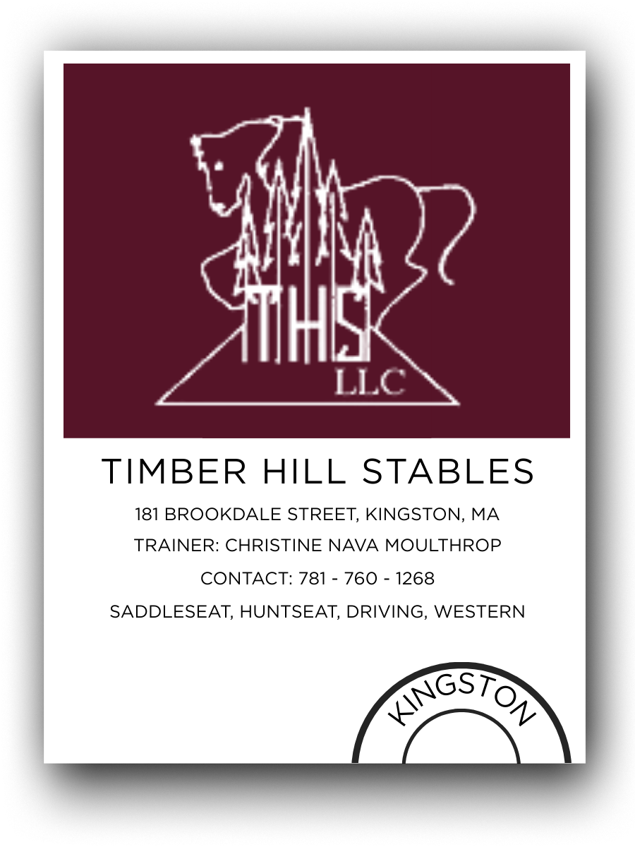 Business card for Timber Hill Stables with a maroon logo featuring a horse drawing, trees, and the text 'THIS LLC'. The card includes the address 181 Brookdale Street, Kingston, MA, trainer Christine Nava Moulthrop, contact number 781-760-1268, and mentions services like saddleseat, huntseat, driving, and western riding.