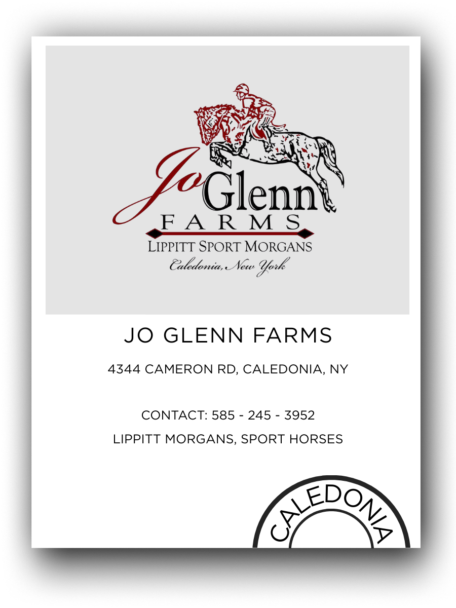 Logo and contact information for Jo Glenn Farms, which is located in Caledonia, New York, and specializes in sport Morgan horses.